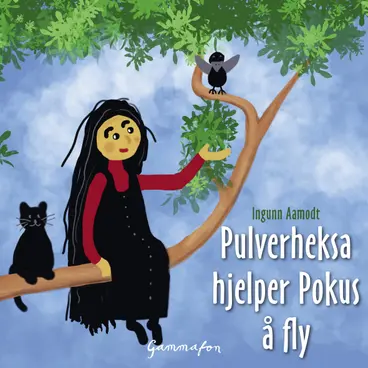 Omslag Pulverheksa hjelper Pokus å fly av Ingunn Aamodt og Eli Rygg (Lydbok)