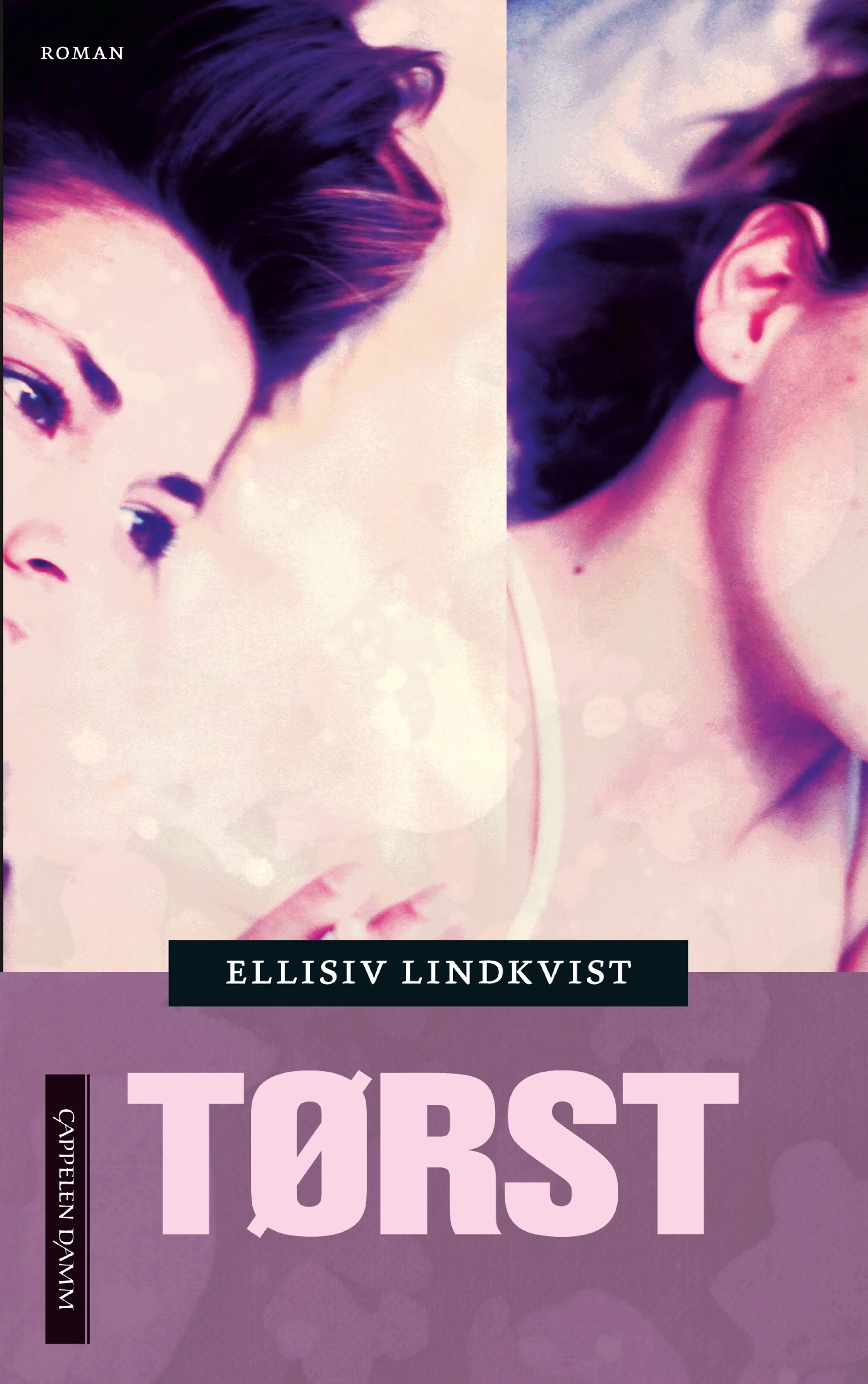 Omslag Tørst av Ellisiv Lindkvist (Heftet)