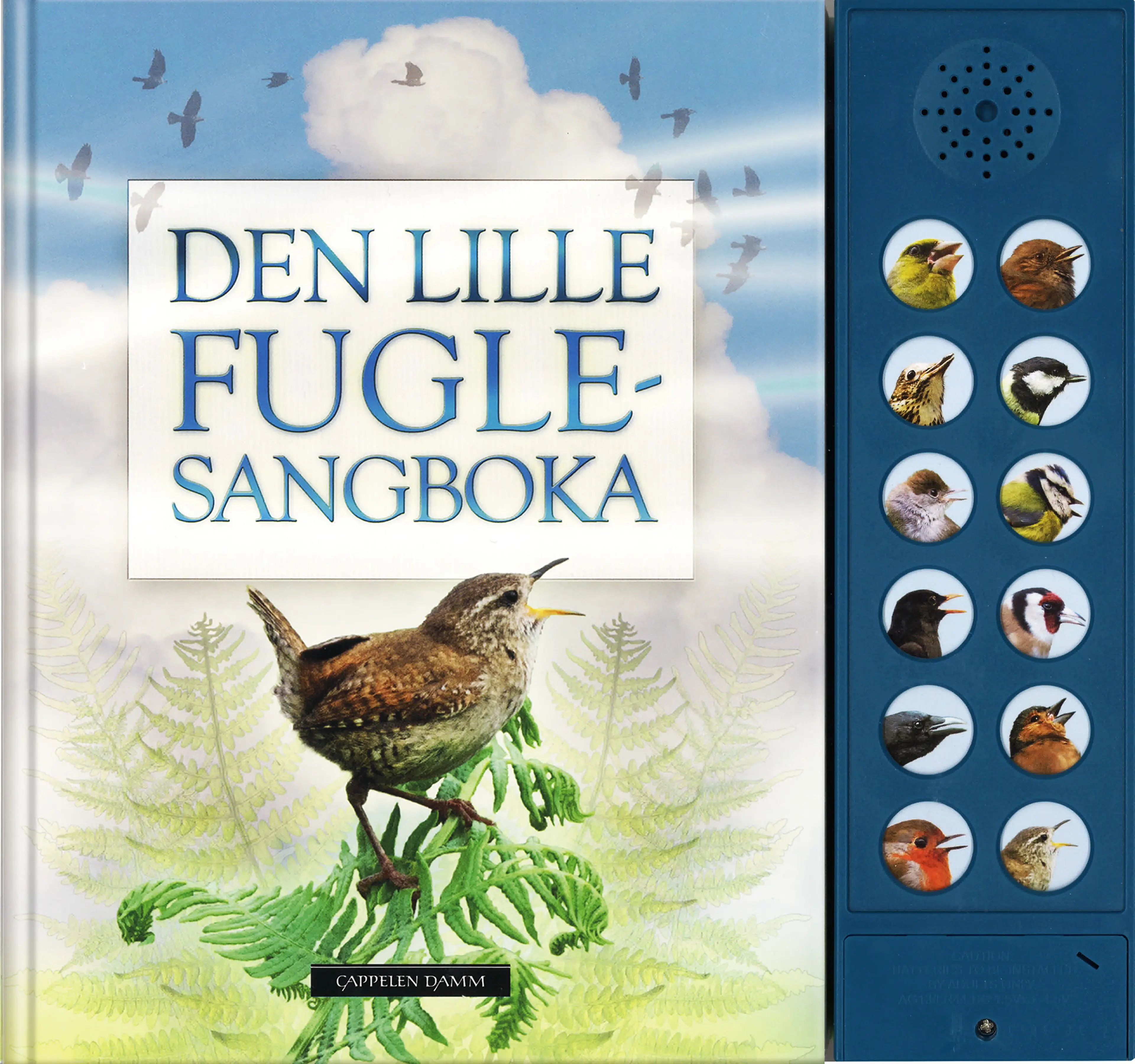 Omslag Den lille fuglesangboka av Andrea Pinnington og Caz Buckingham (Innbundet)