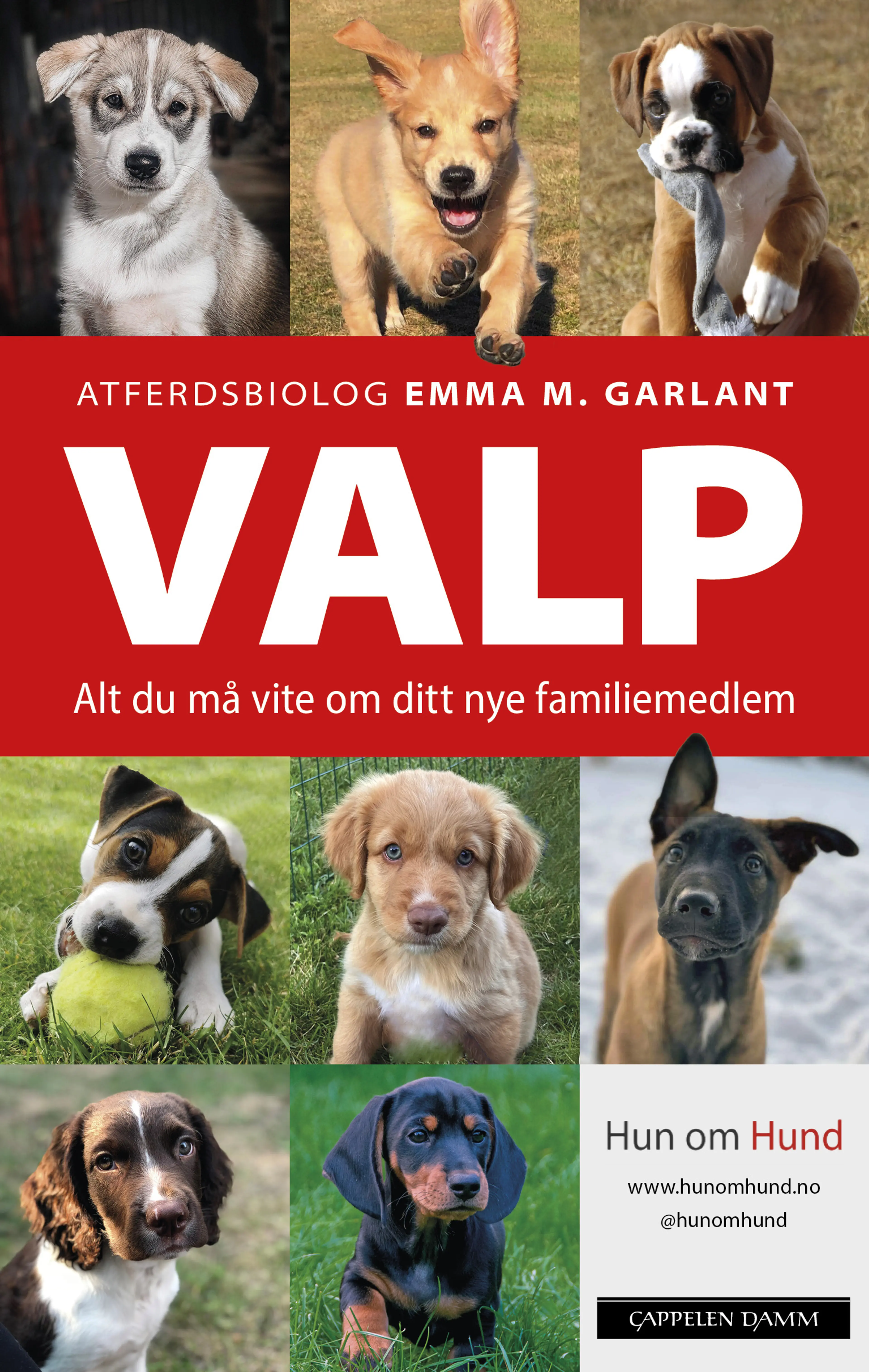 Omslag VALP av Emma M. Garlant (Innbundet)