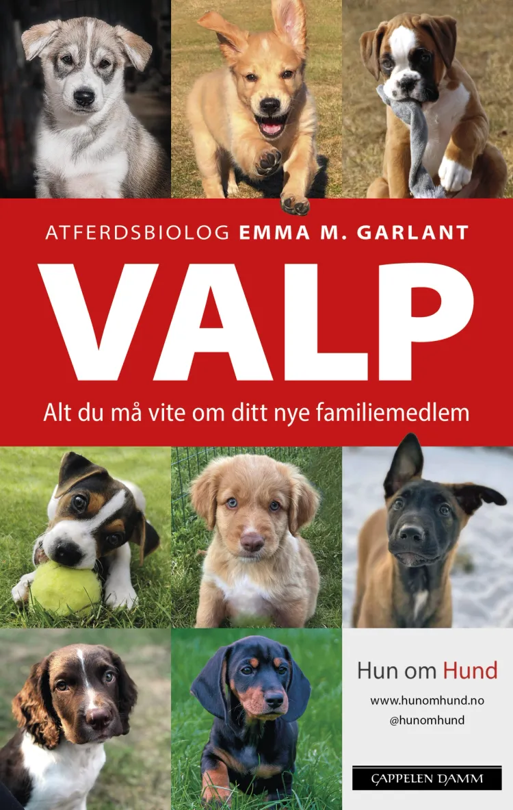 Omslag VALP av Emma M. Garlant (Ebok)