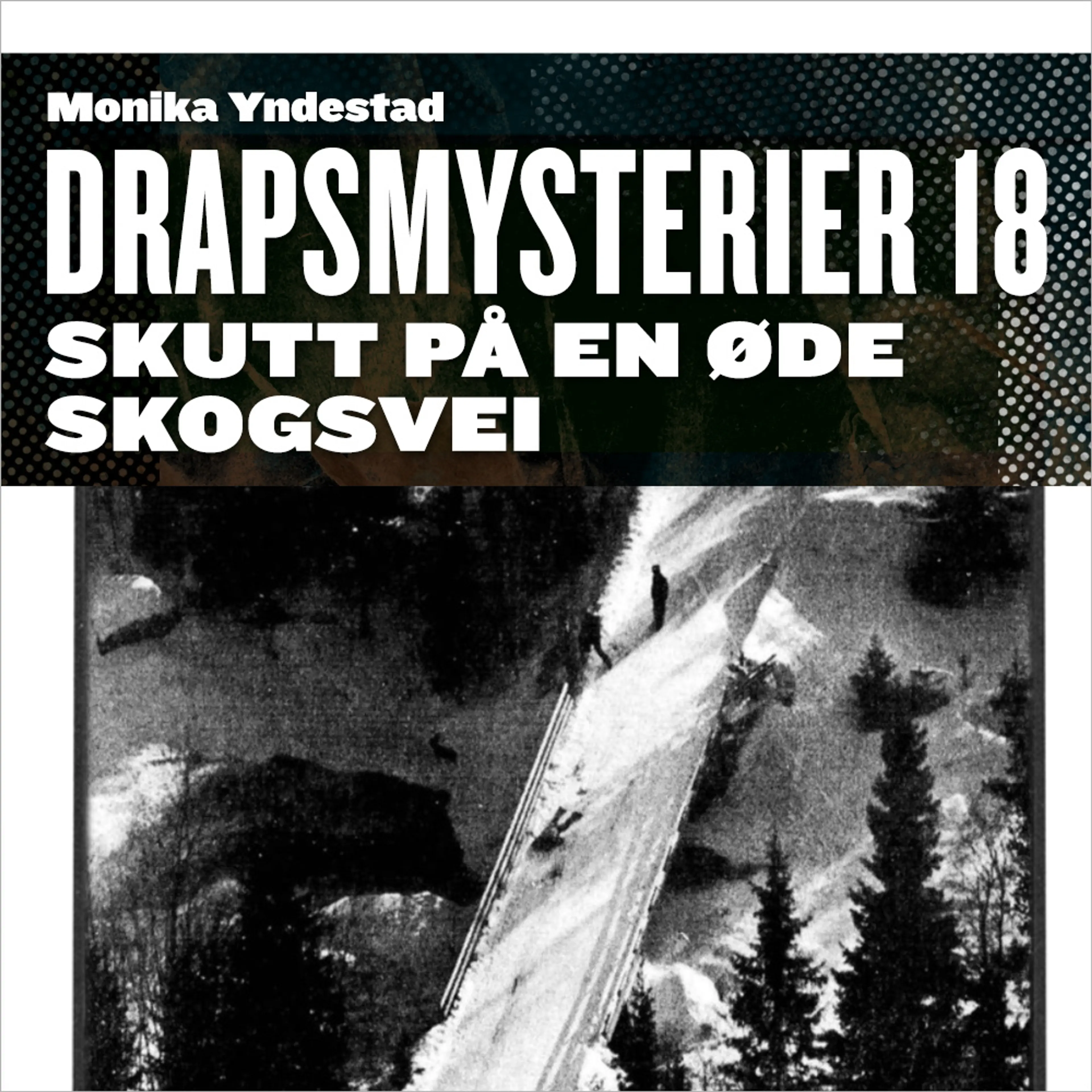 Omslag Skutt på en øde skogsvei av Monika N. Yndestad (Lydbok)