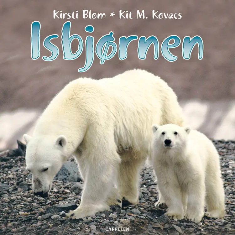 Omslag Isbjørnen av Kirsti Blom og Kit M. Kovacs (Lydbok)