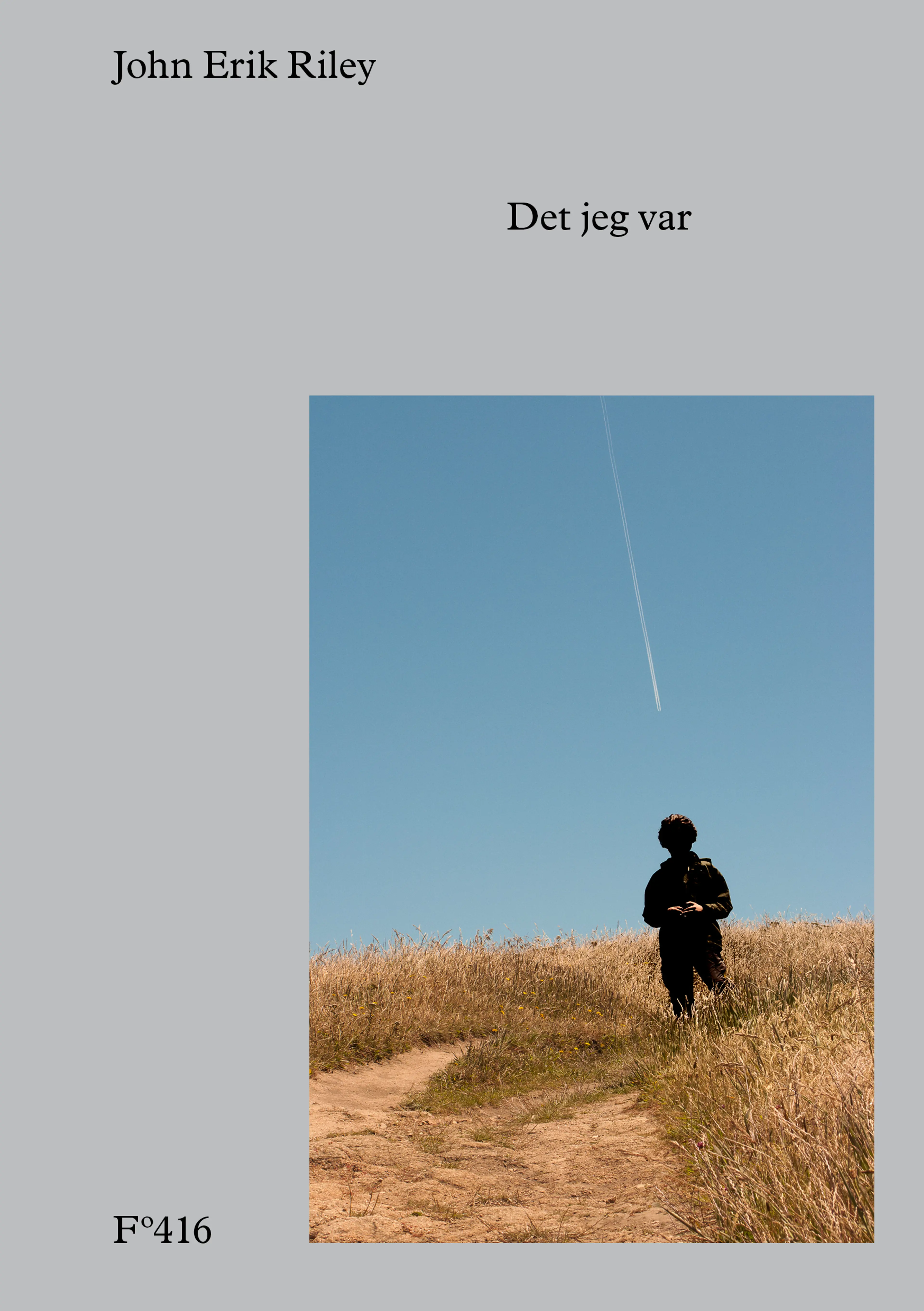 Omslag Det jeg var av John Erik Riley (Ebok)