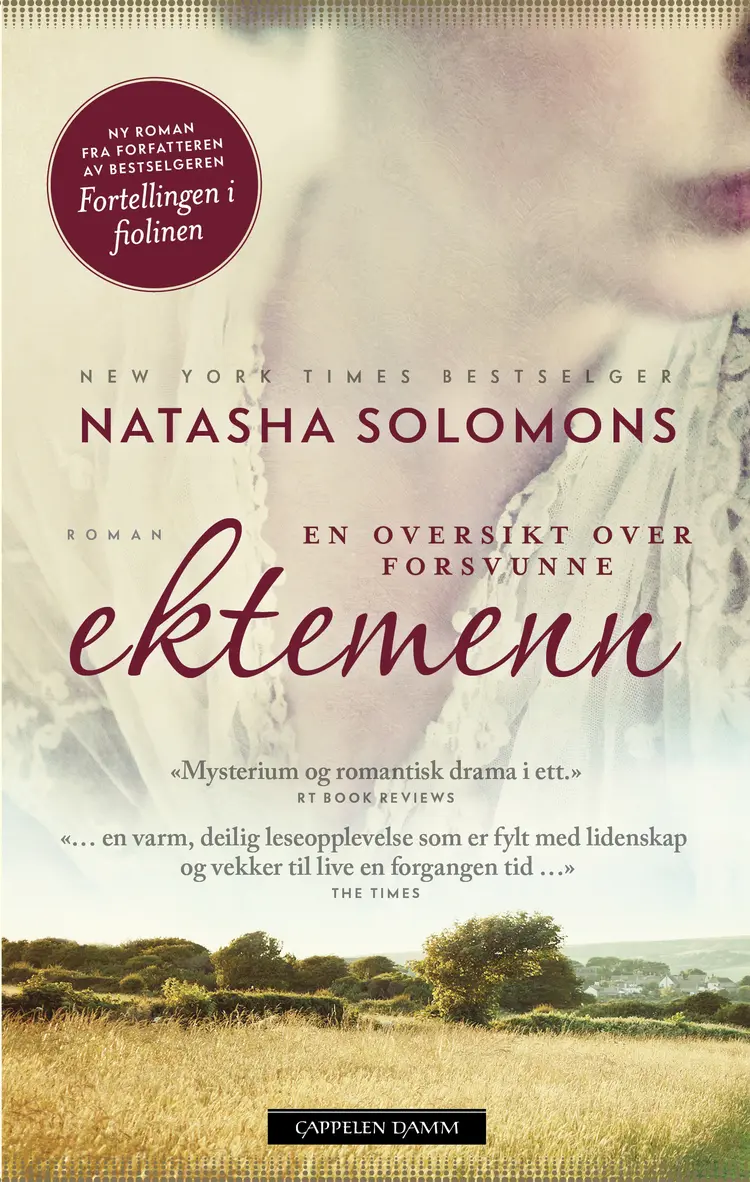Omslag En oversikt over forsvunne ektemenn av Natasha Solomons (Innbundet)
