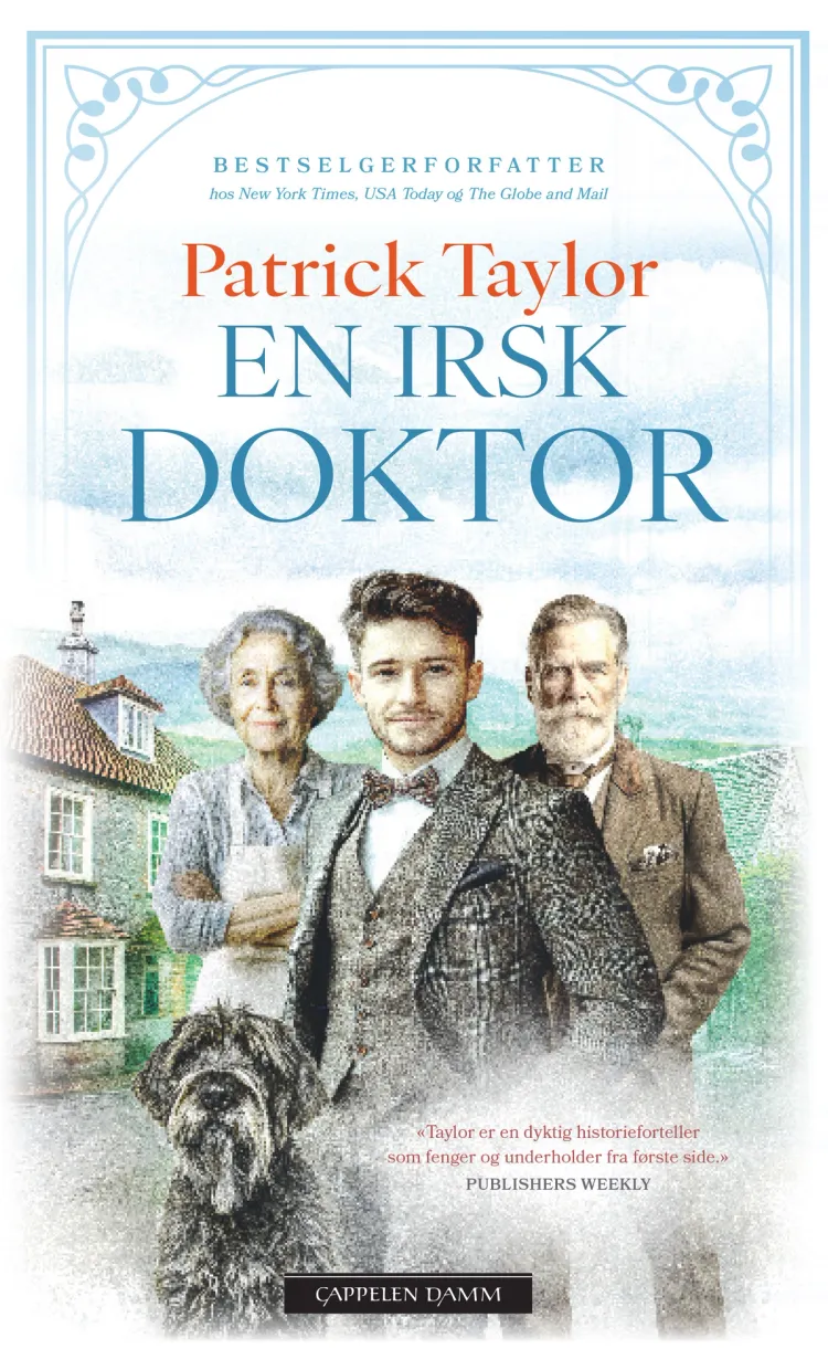 Omslag En irsk doktor av Patrick Taylor (Innbundet)