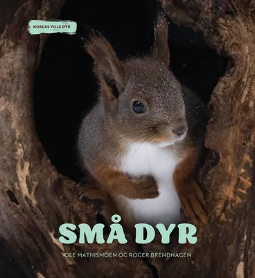 Omslag Små dyr av Ole Mathismoen og Roger Brendhagen (Innbundet)