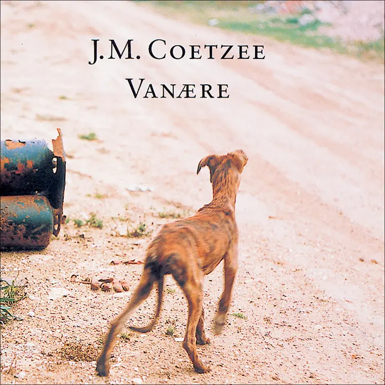 Omslag Vanære av J.M. Coetzee (Lydbok)