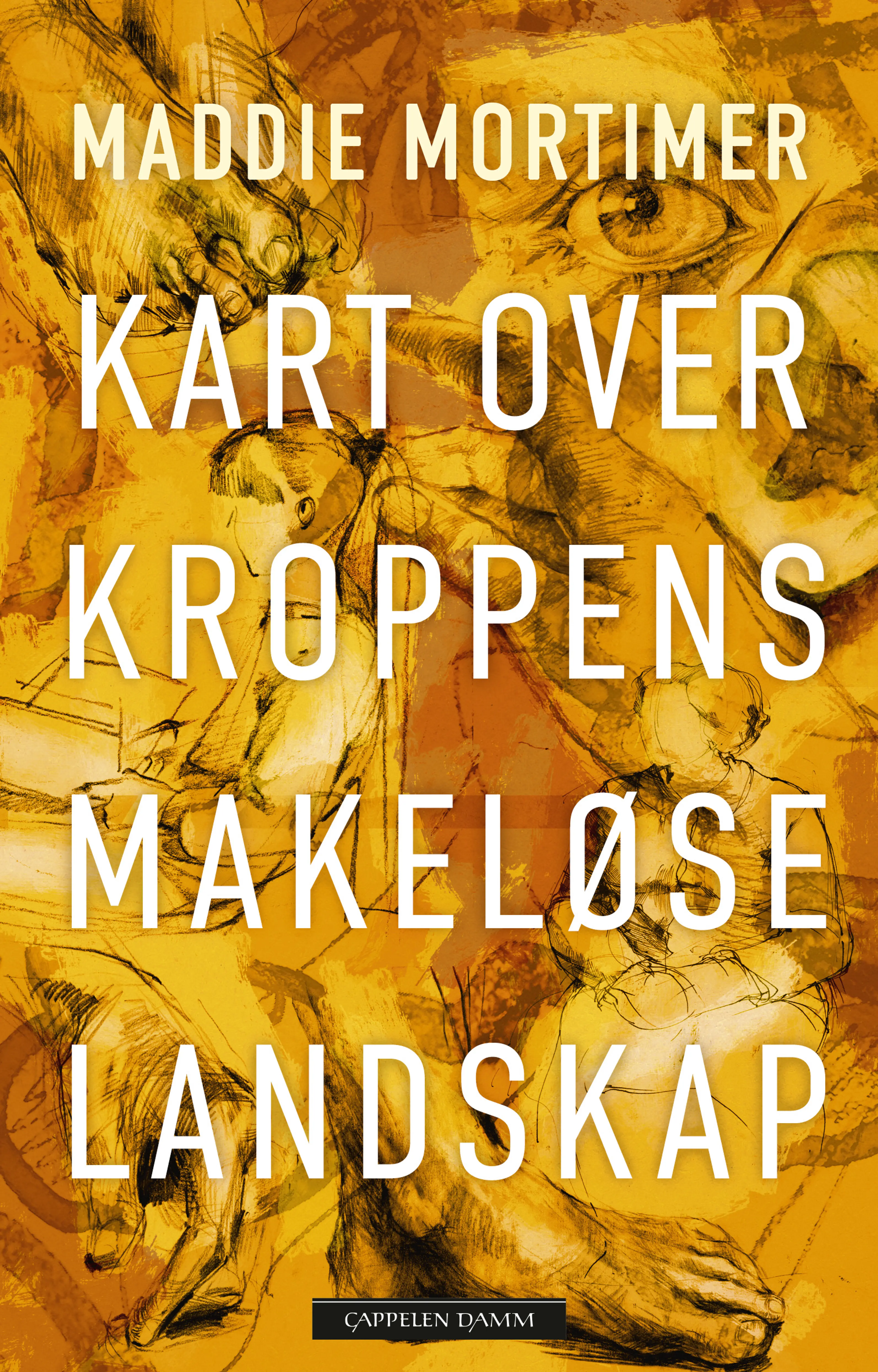 Omslag Kart over kroppens makeløse landskap av Maddie Mortimer (Innbundet)