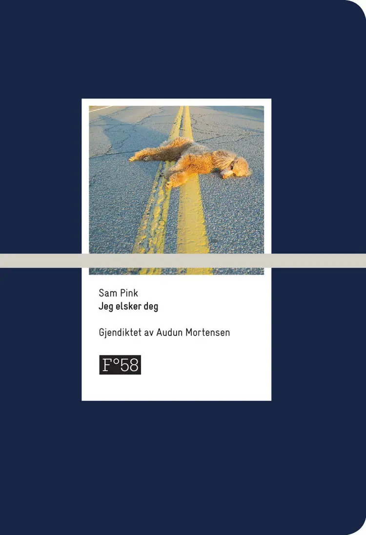 Omslag Jeg elsker deg av Sam Pink (Heftet)