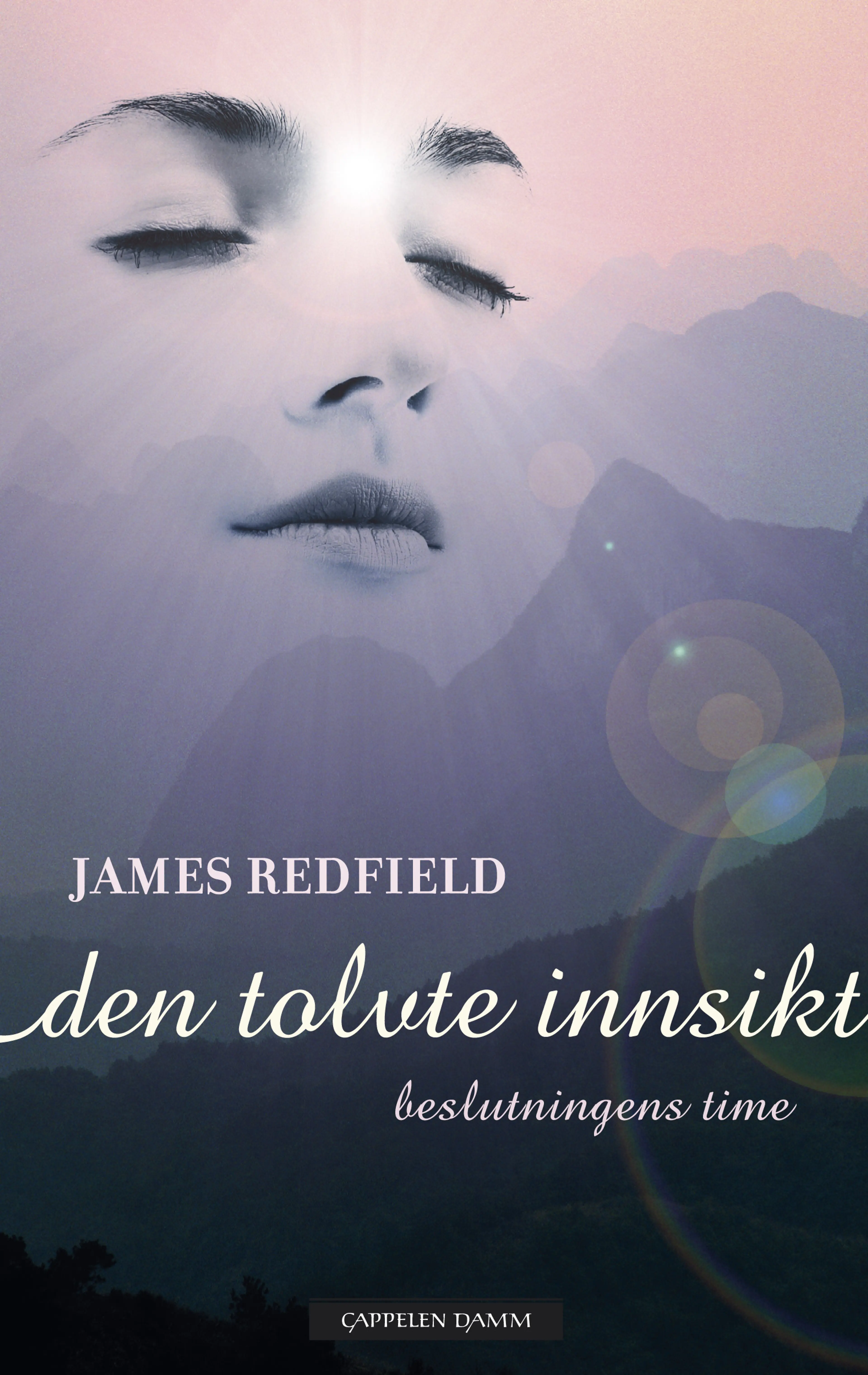 Omslag Den tolvte innsikt av James Redfield (Innbundet)
