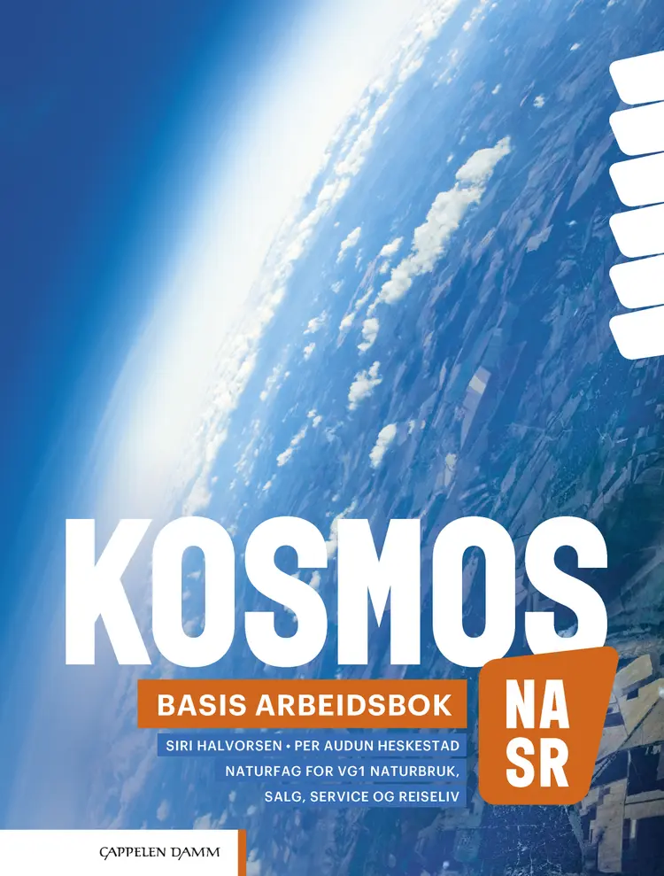 Omslag Kosmos NA, SR Basis arbeidsbok (2023) av Siri Halvorsen og Per Audun Heskestad (Heftet)