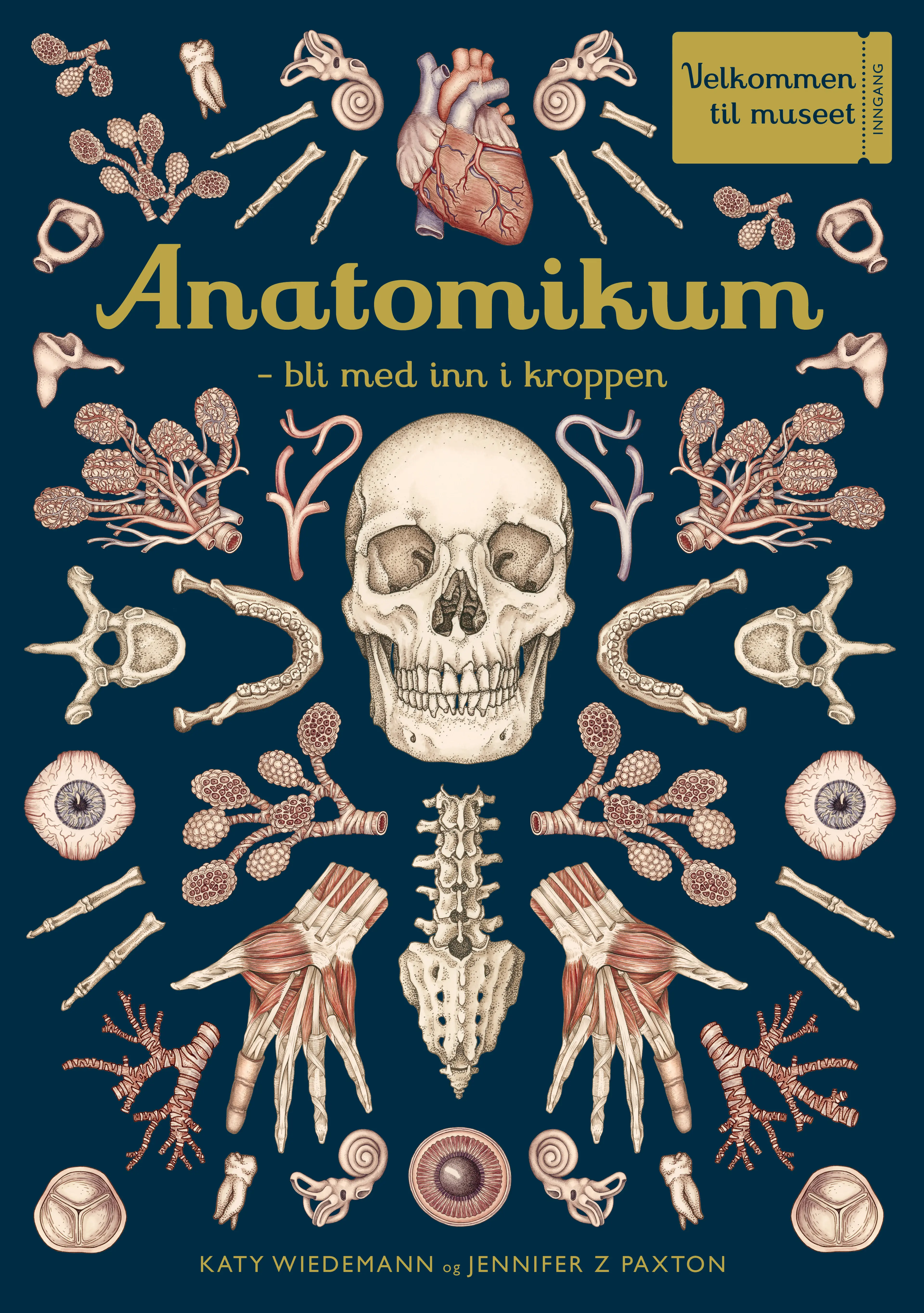 Omslag Anatomikum av Jennifer Z Paxton (Innbundet)