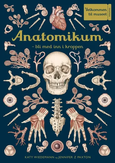 Omslag Anatomikum av Jennifer Z Paxton (Innbundet)