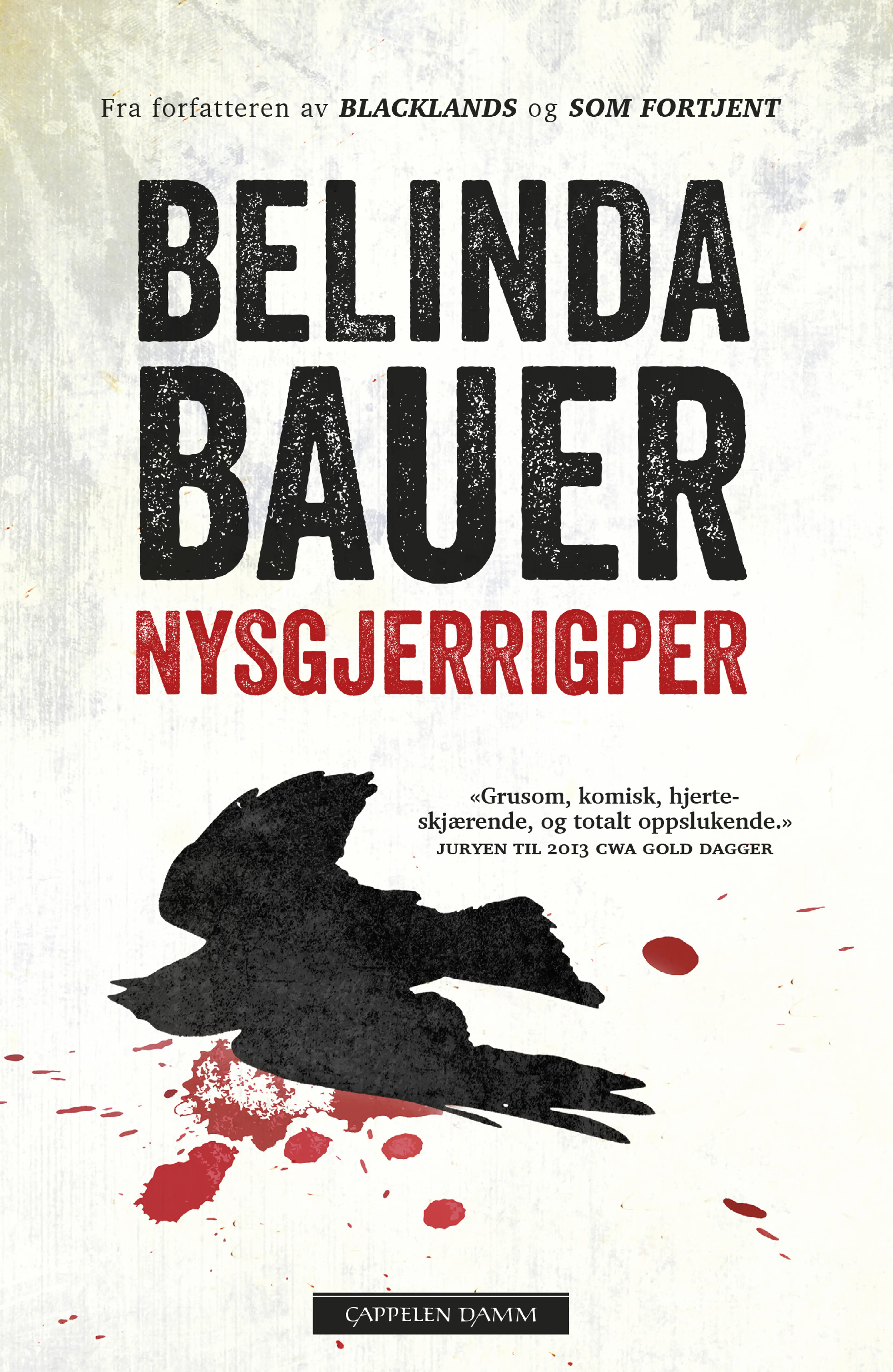 Omslag Nysgjerrigper av Belinda Bauer (Ebok)