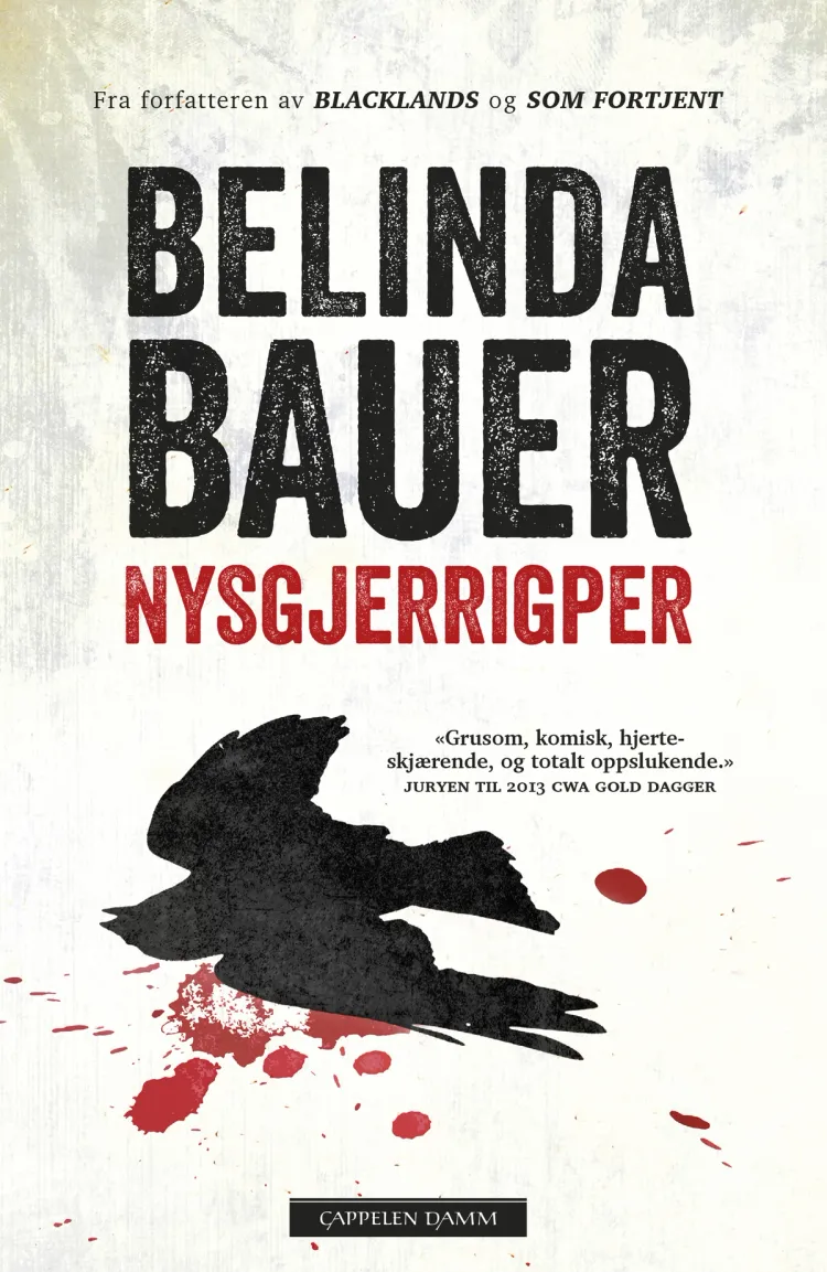 Omslag Nysgjerrigper av Belinda Bauer (Ebok)
