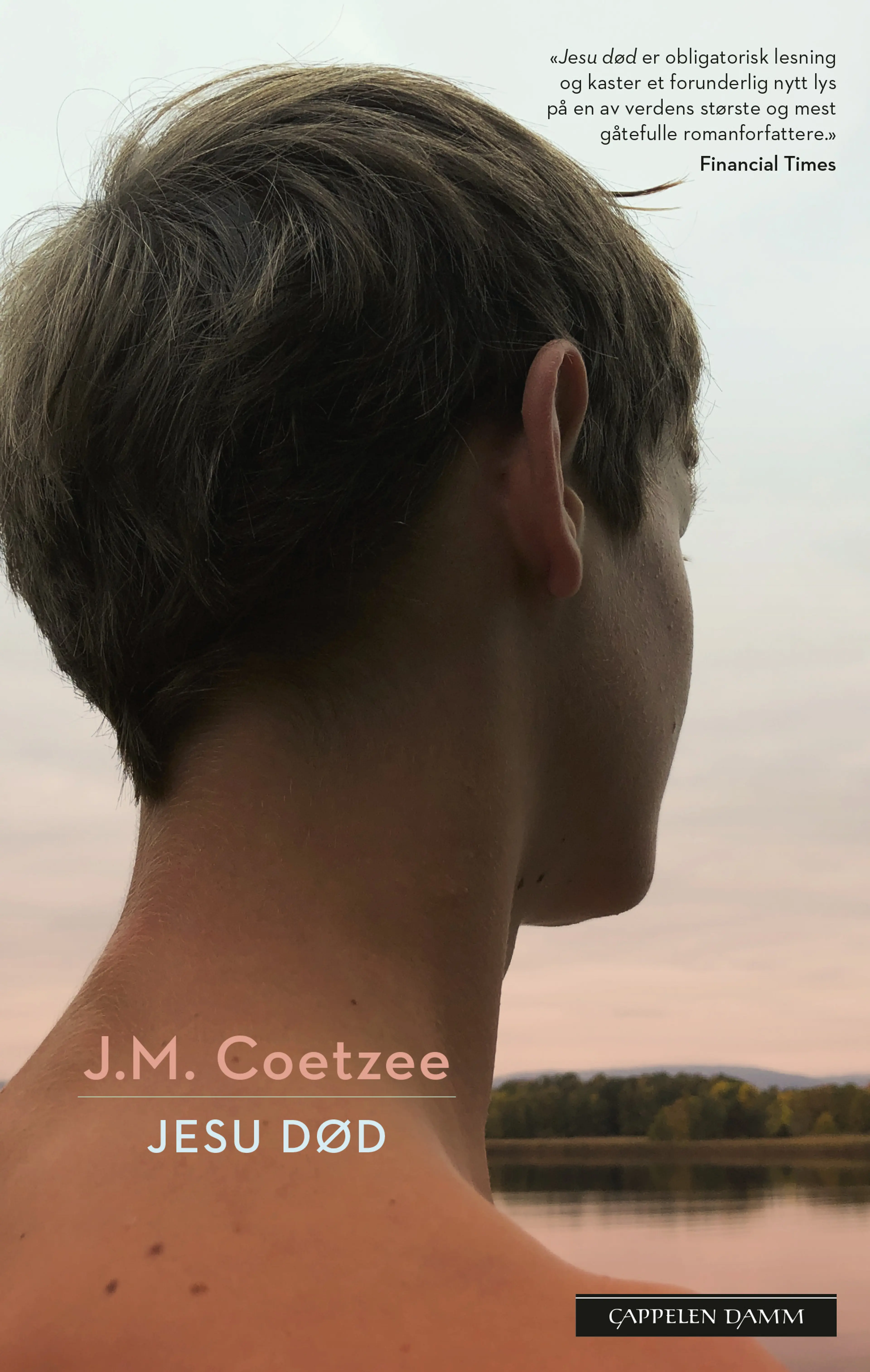 Omslag Jesu død av J.M. Coetzee (Heftet)