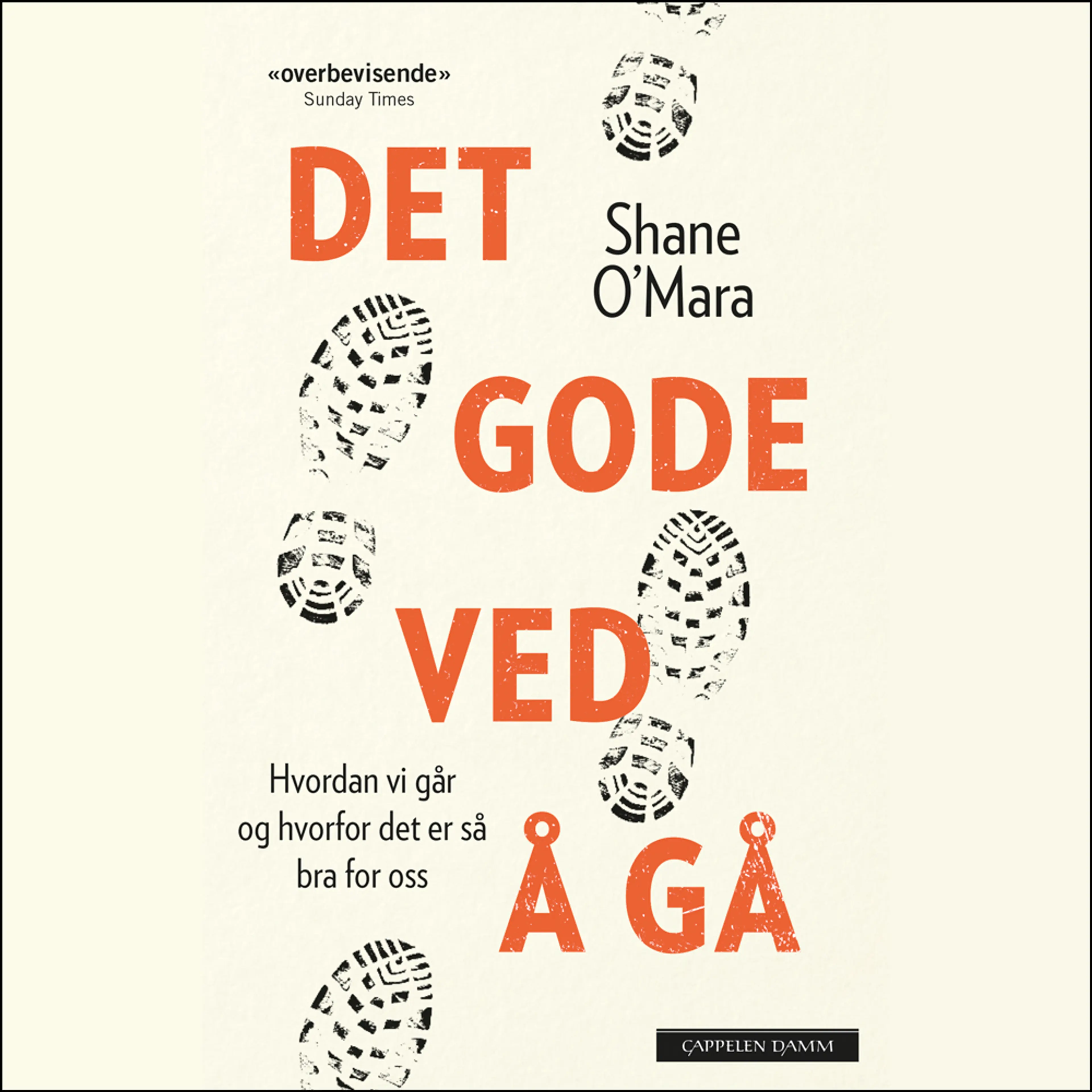 Omslag Det gode ved å gå - Hvordan vi går og hvorfor det er så bra for oss av Shane O'Mara (Lydbok)