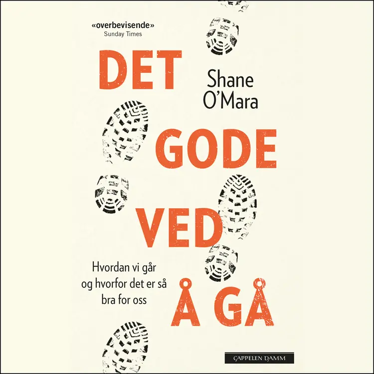 Omslag Det gode ved å gå - Hvordan vi går og hvorfor det er så bra for oss av Shane O'Mara (Lydbok)
