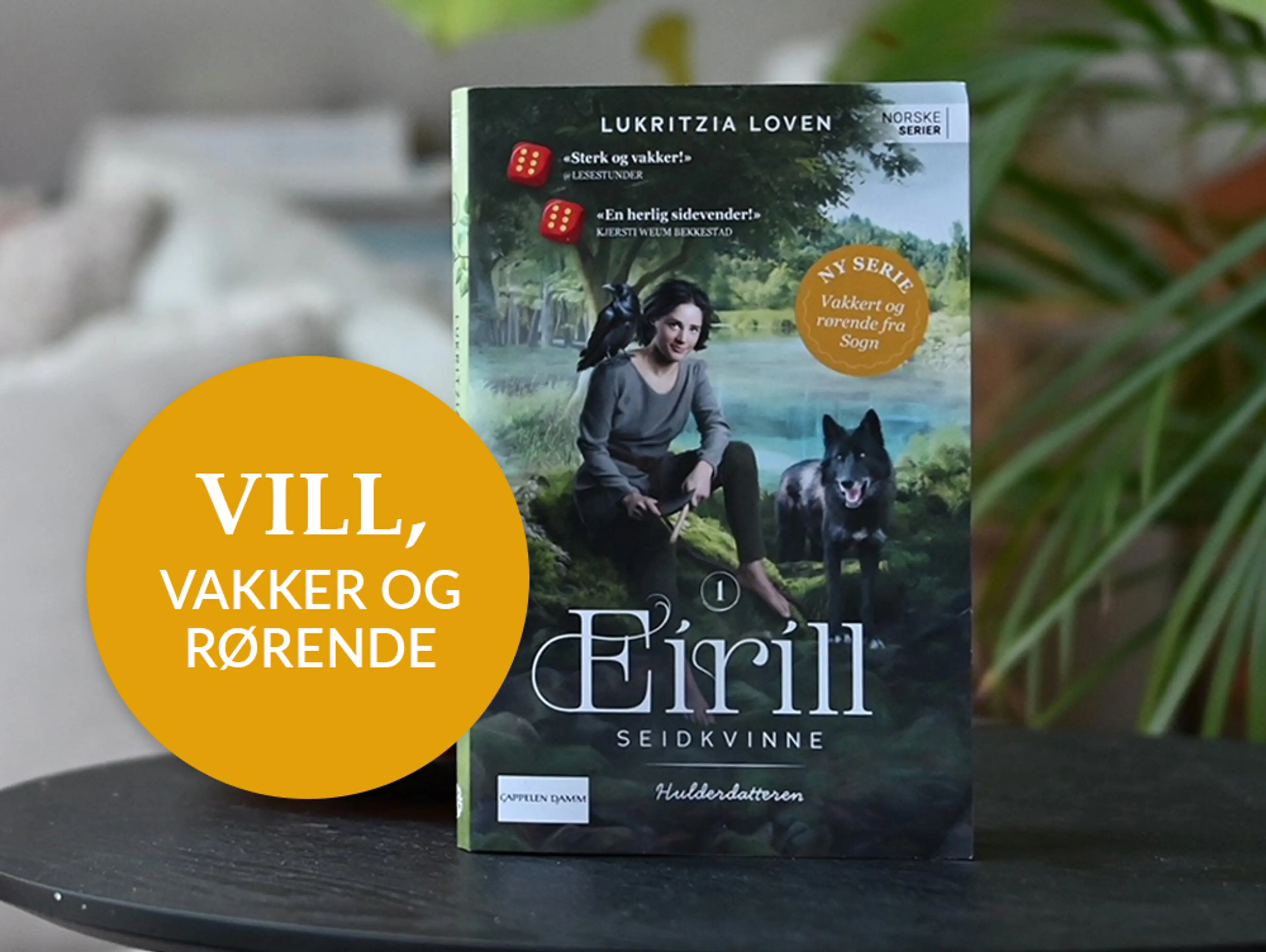 Foto av første bok i serien Eirill seidkvinne