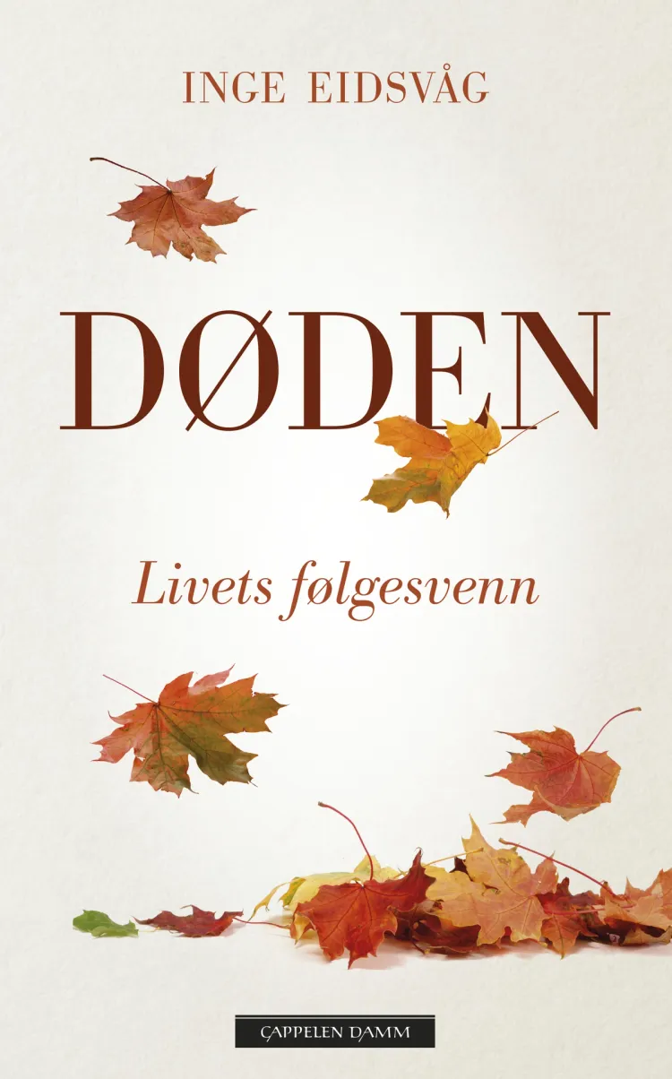 Omslag Døden av Inge Eidsvåg (Innbundet)