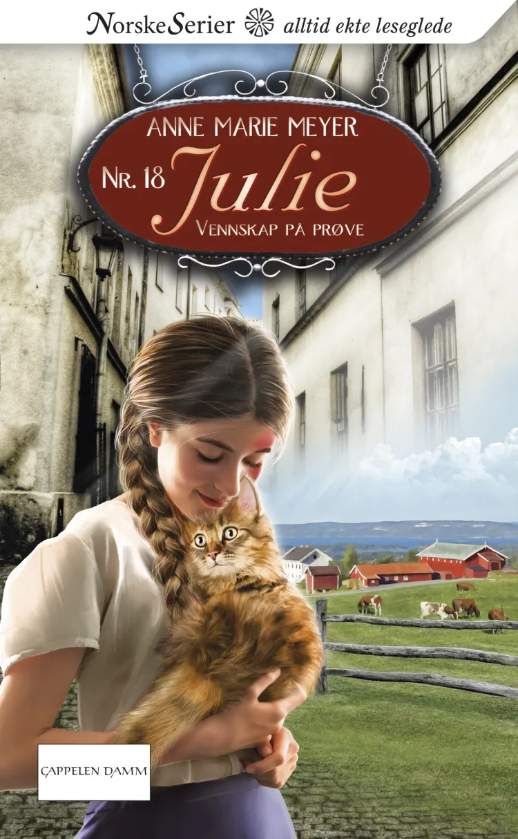 Omslag Vennskap på prøve av Anne Marie Meyer (Ebok)