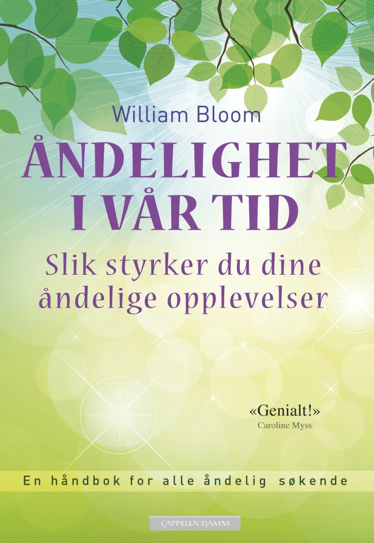 Omslag Åndelighet i vår tid av William Bloom (Innbundet)