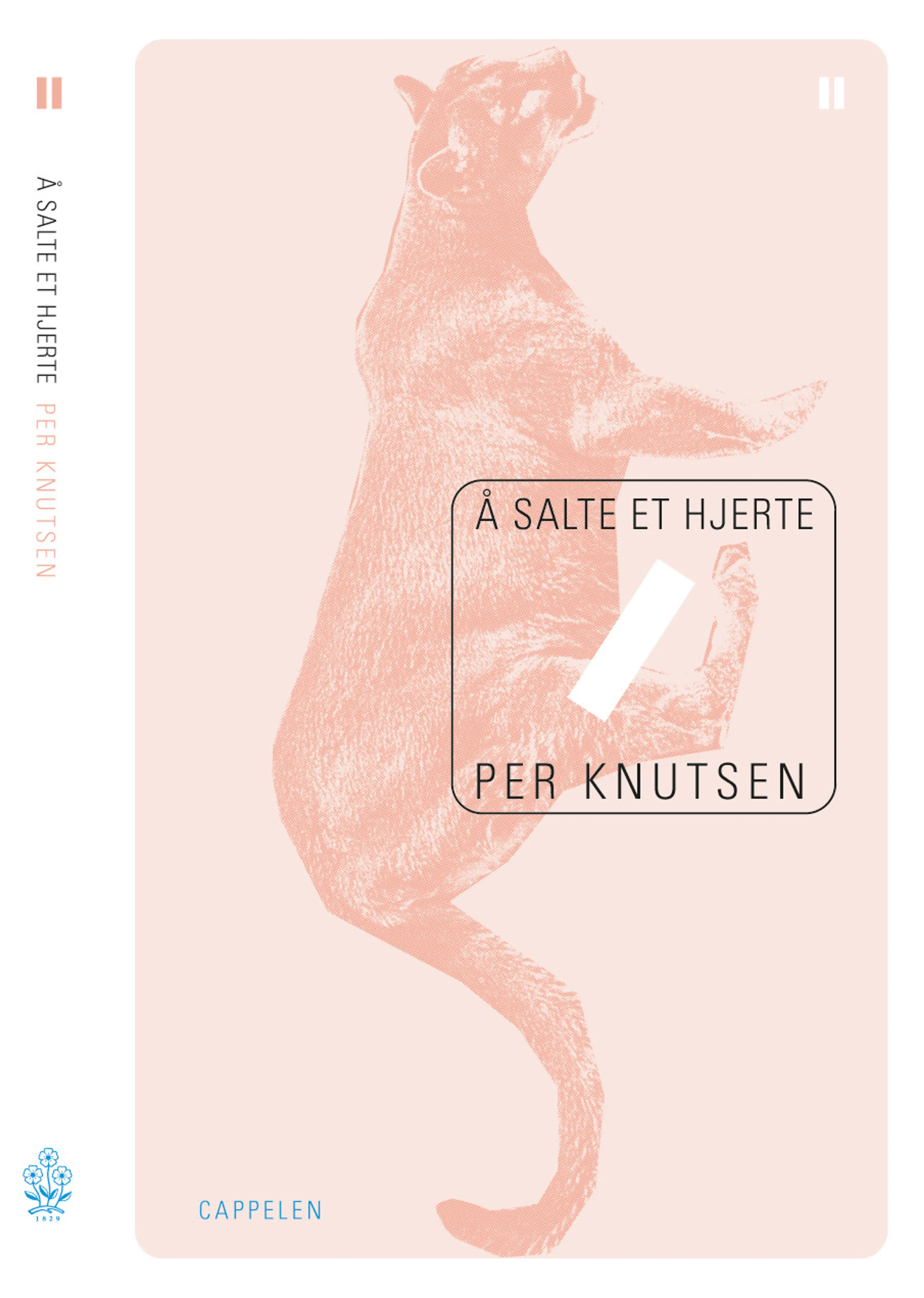 Omslag Å salte et hjerte av Per Knutsen (Innbundet)