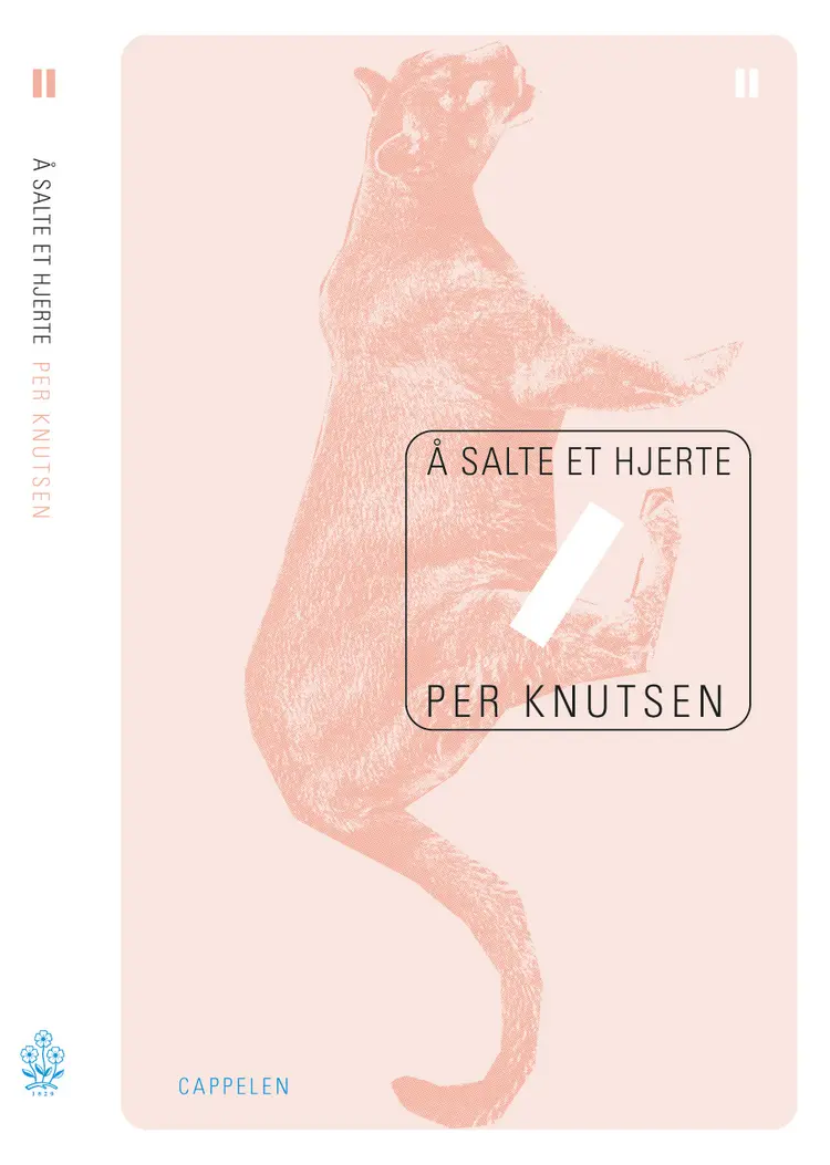 Omslag Å salte et hjerte av Per Knutsen (Innbundet)