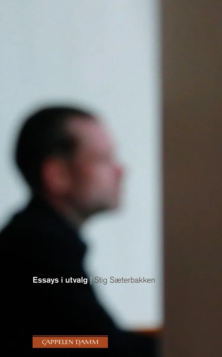 Omslag Essays i utvalg av Stig Sæterbakken (Ebok)