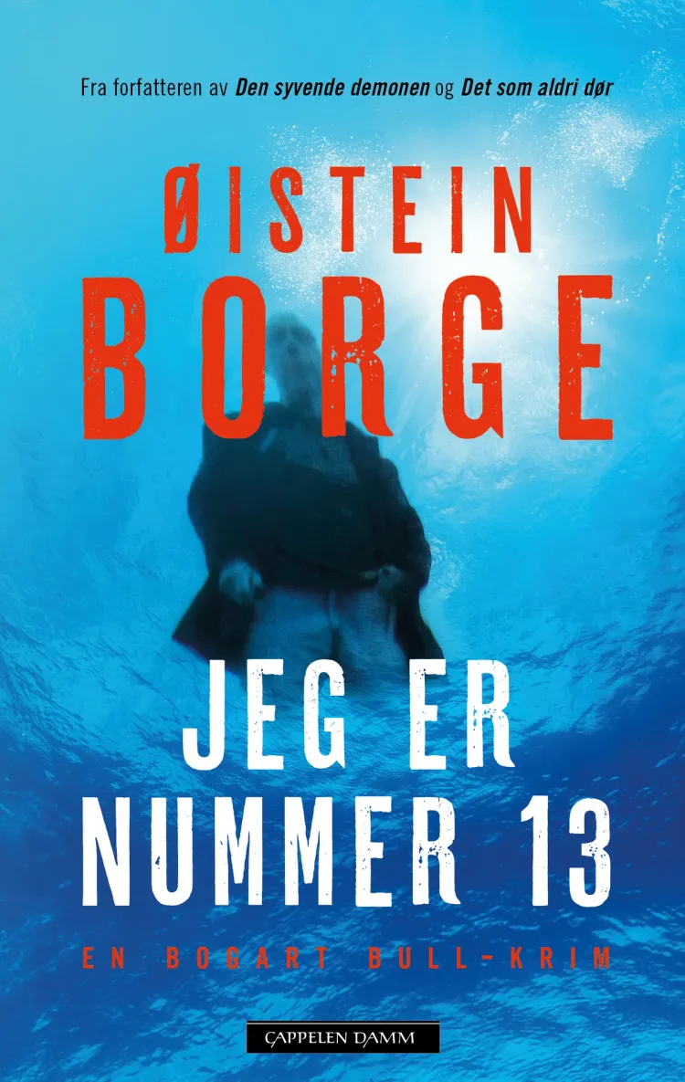 Omslag Jeg er nummer 13 av Øistein Borge (Innbundet)