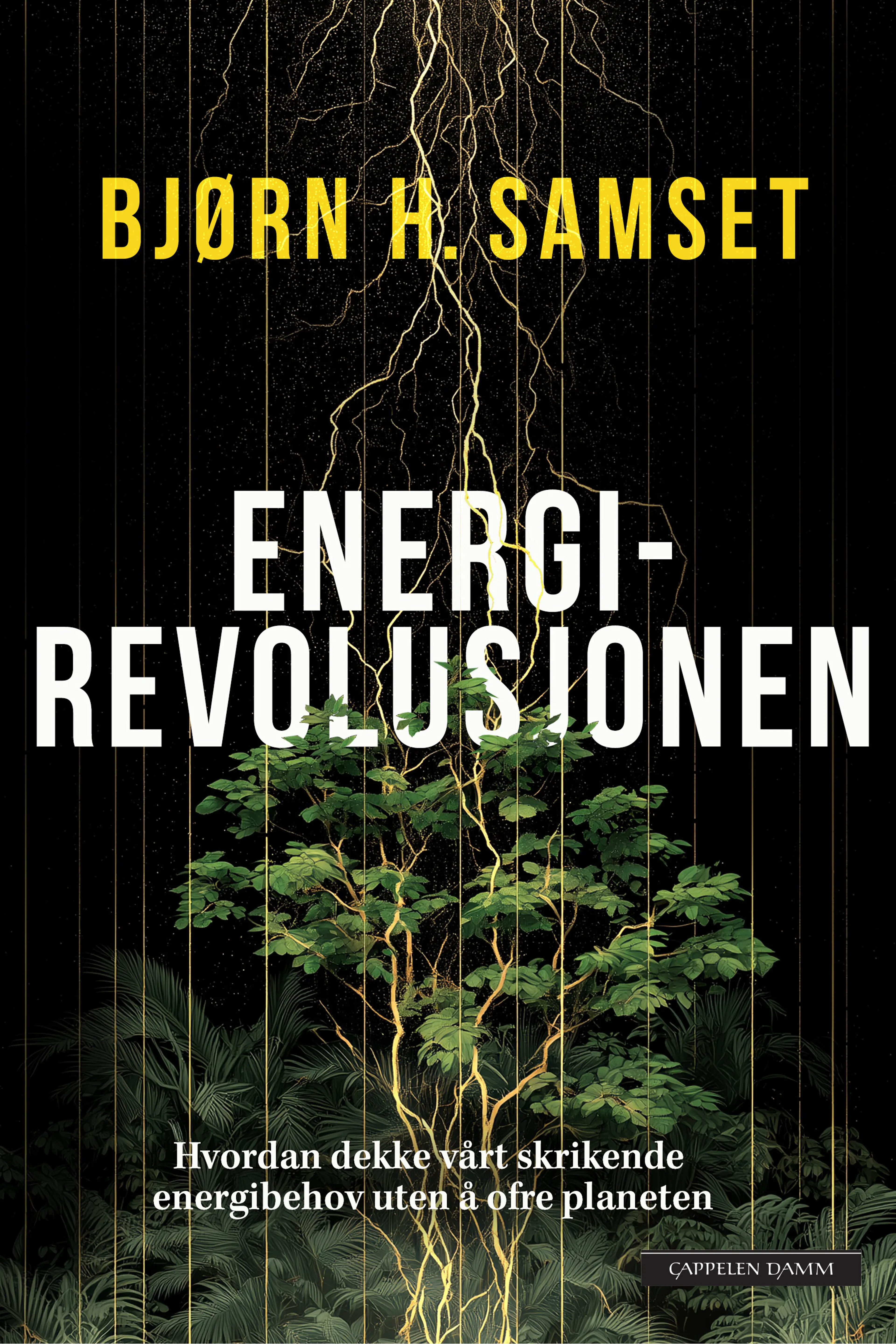 Omslag Energirevolusjonen av Bjørn H. Samset (Ebok)