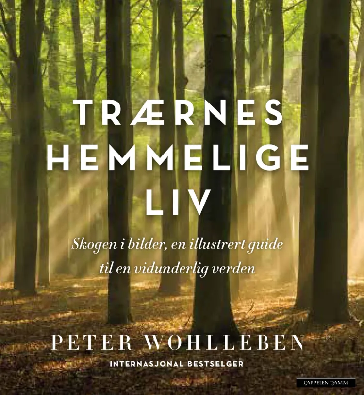 Omslag Trærnes hemmelige liv (Illustrert utgave) av Peter Wohlleben (Innbundet)