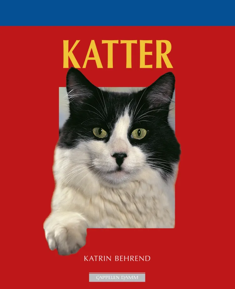 Omslag Katter av Katrin Behrend (Heftet)
