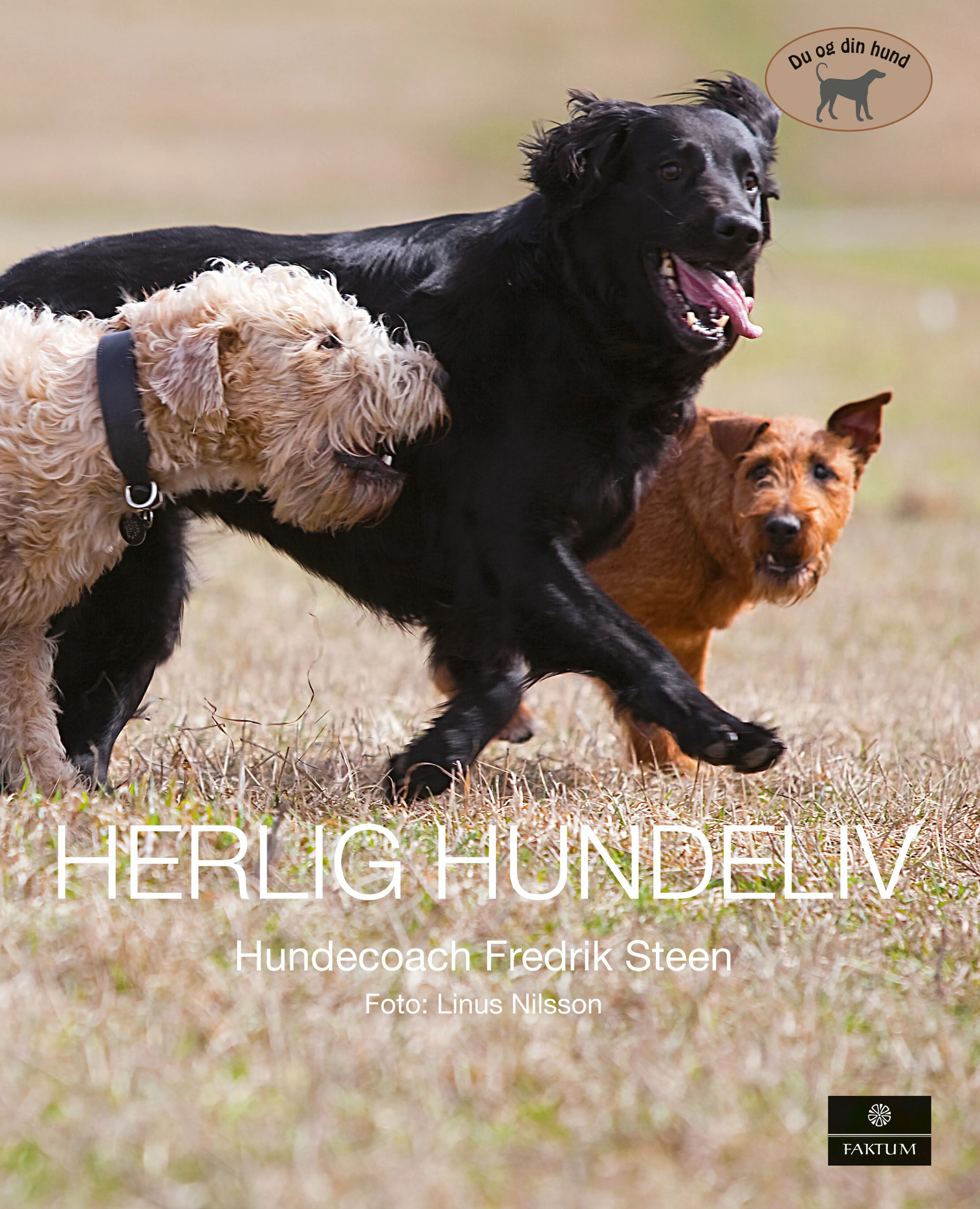 Omslag Herlig hundeliv (Innbundet)