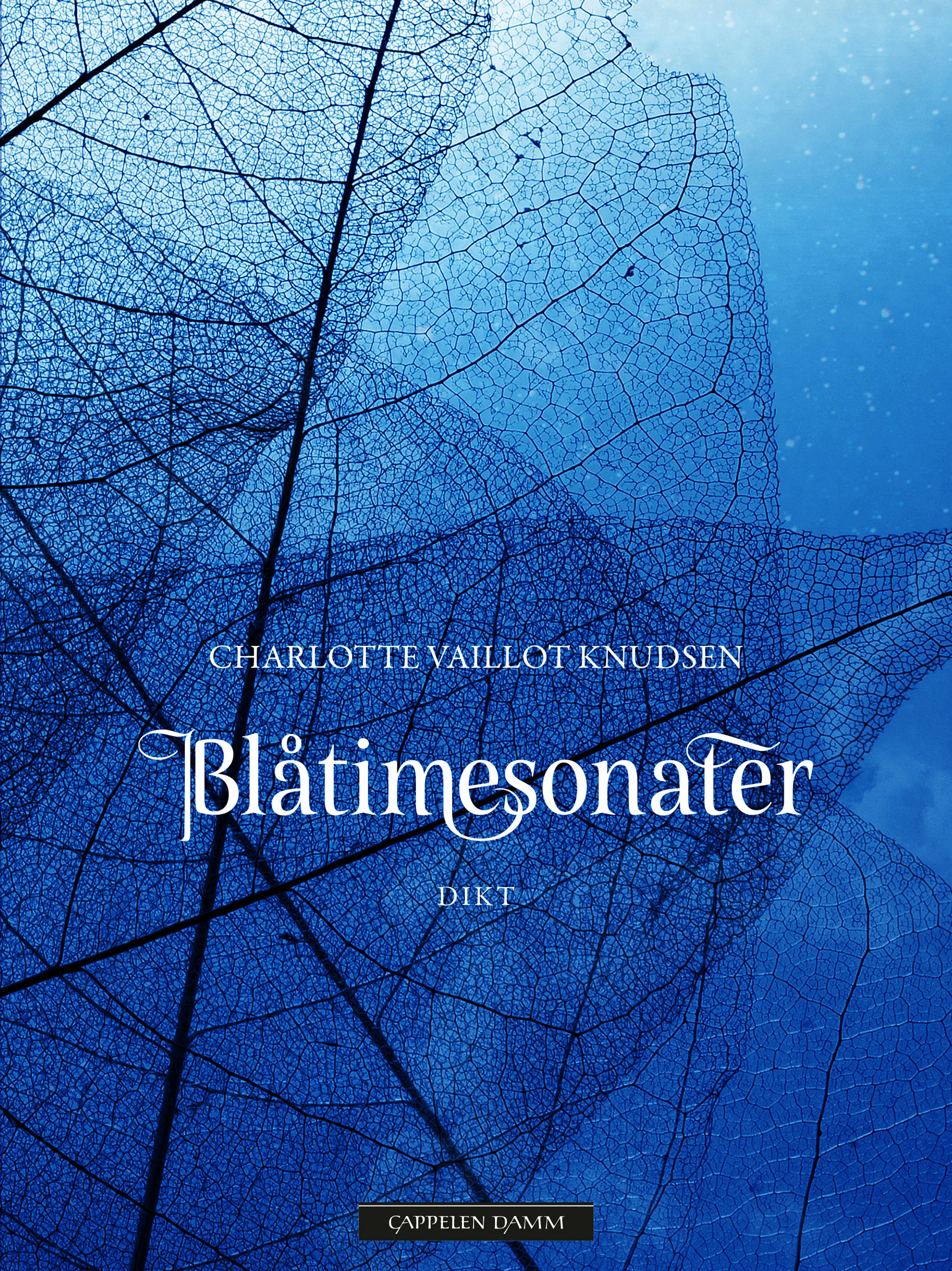 Omslag Blåtimesonater av Charlotte Louise Vaillot Knudsen (Ebok)