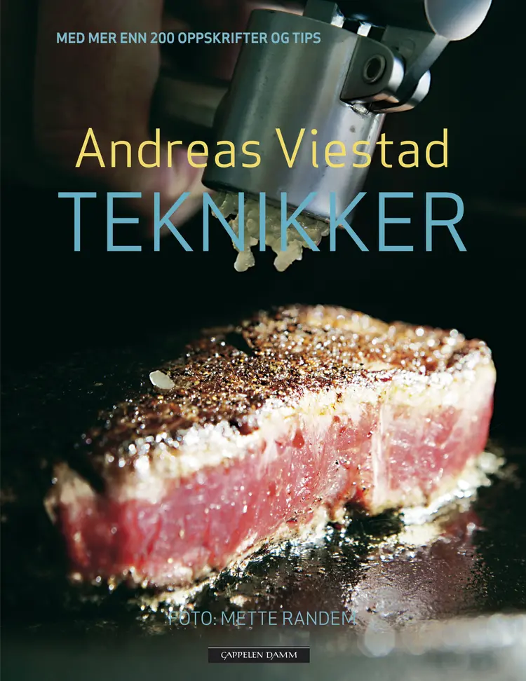 Omslag Teknikker av Andreas Viestad (Innbundet)