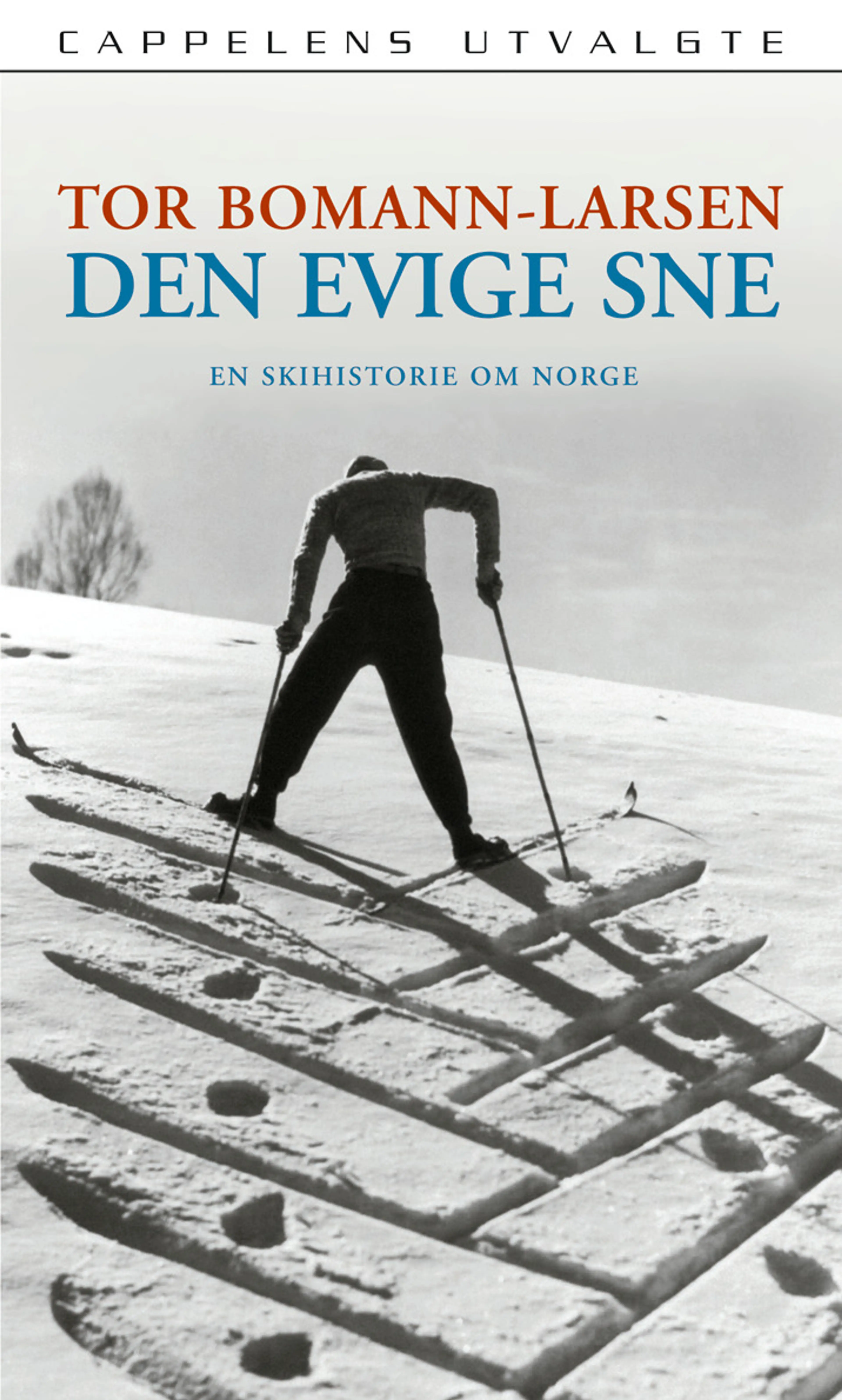 Omslag Den evige sne av Tor Bomann-Larsen (Heftet)