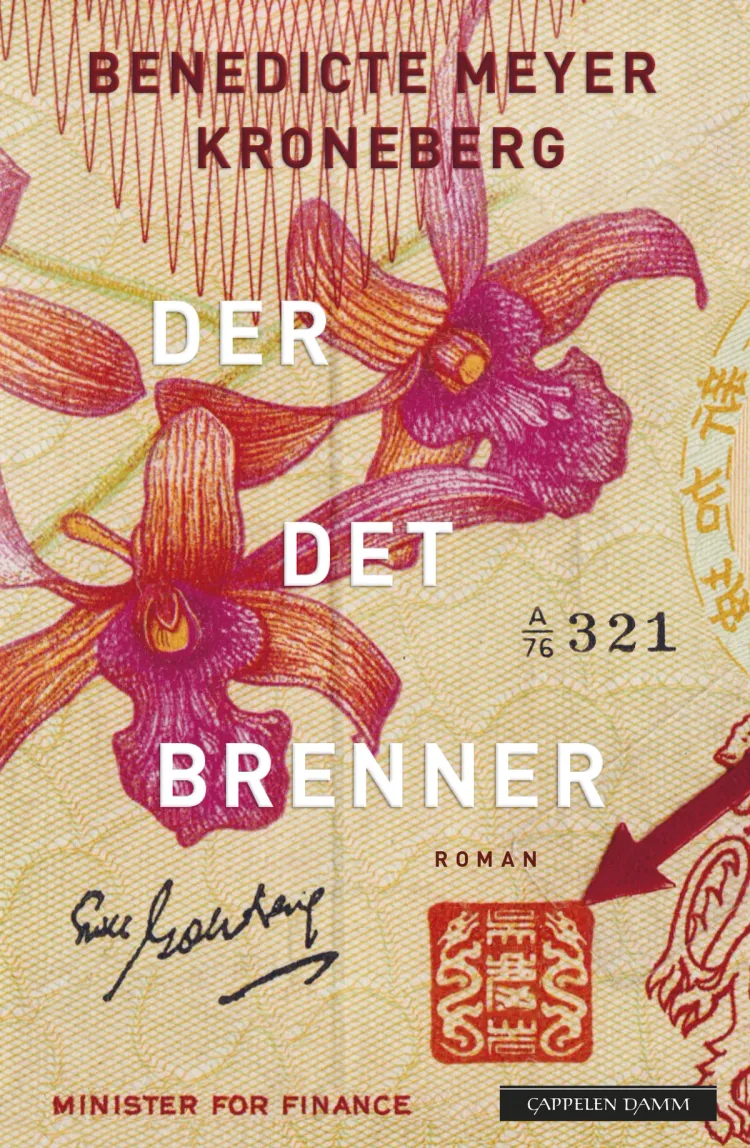 Omslag Der det brenner av Benedicte Meyer Kroneberg (Innbundet)