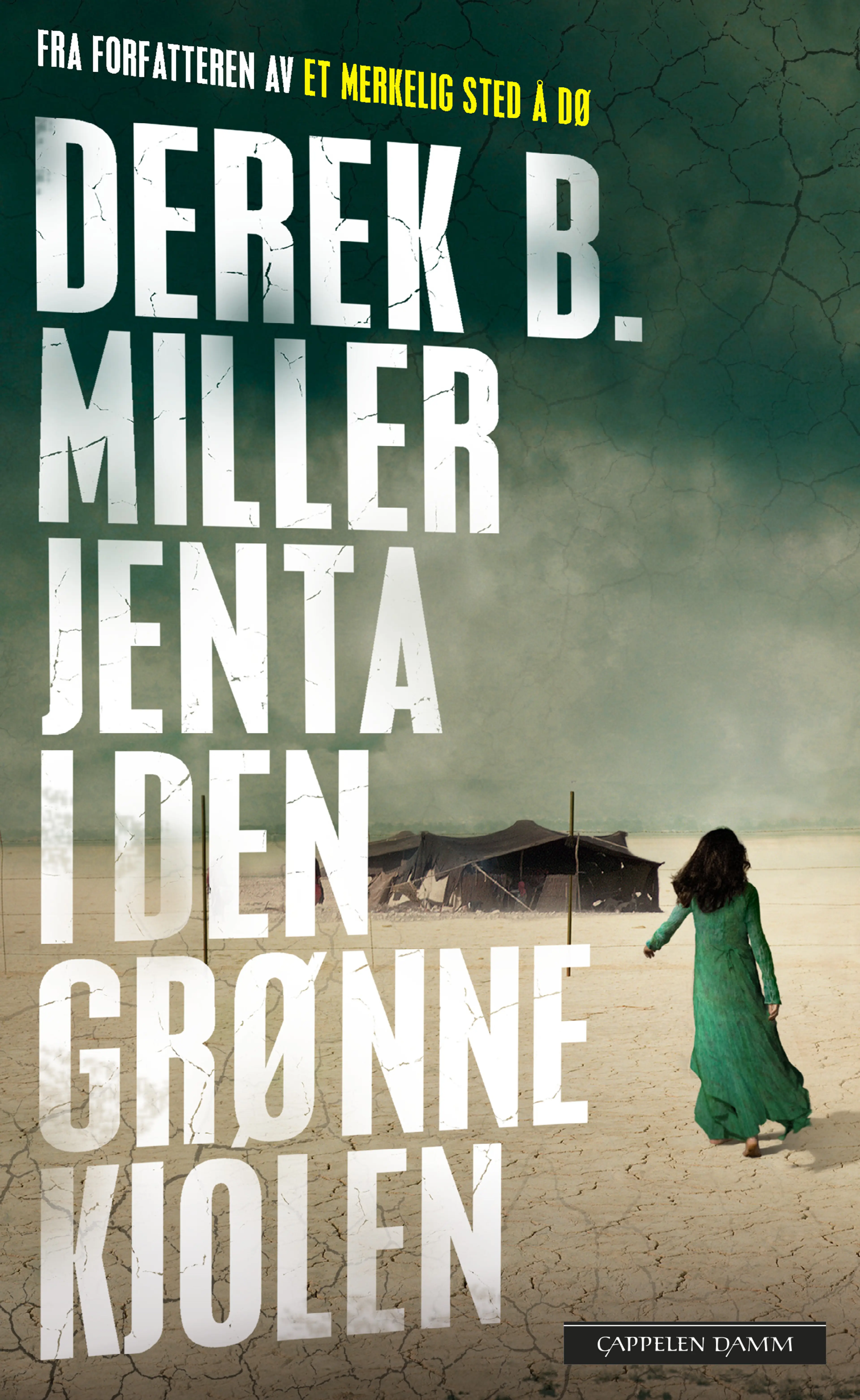 Omslag Jenta i den grønne kjolen av Derek B. Miller (Ebok)