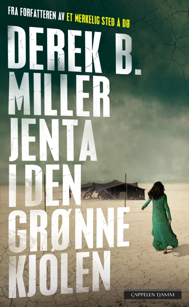 Omslag Jenta i den grønne kjolen av Derek B. Miller (Ebok)