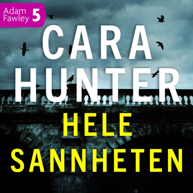 Omslag Hele sannheten av Cara Hunter (Lydbok)