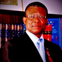 Bidragsyter Gilles Dossou-Gouin