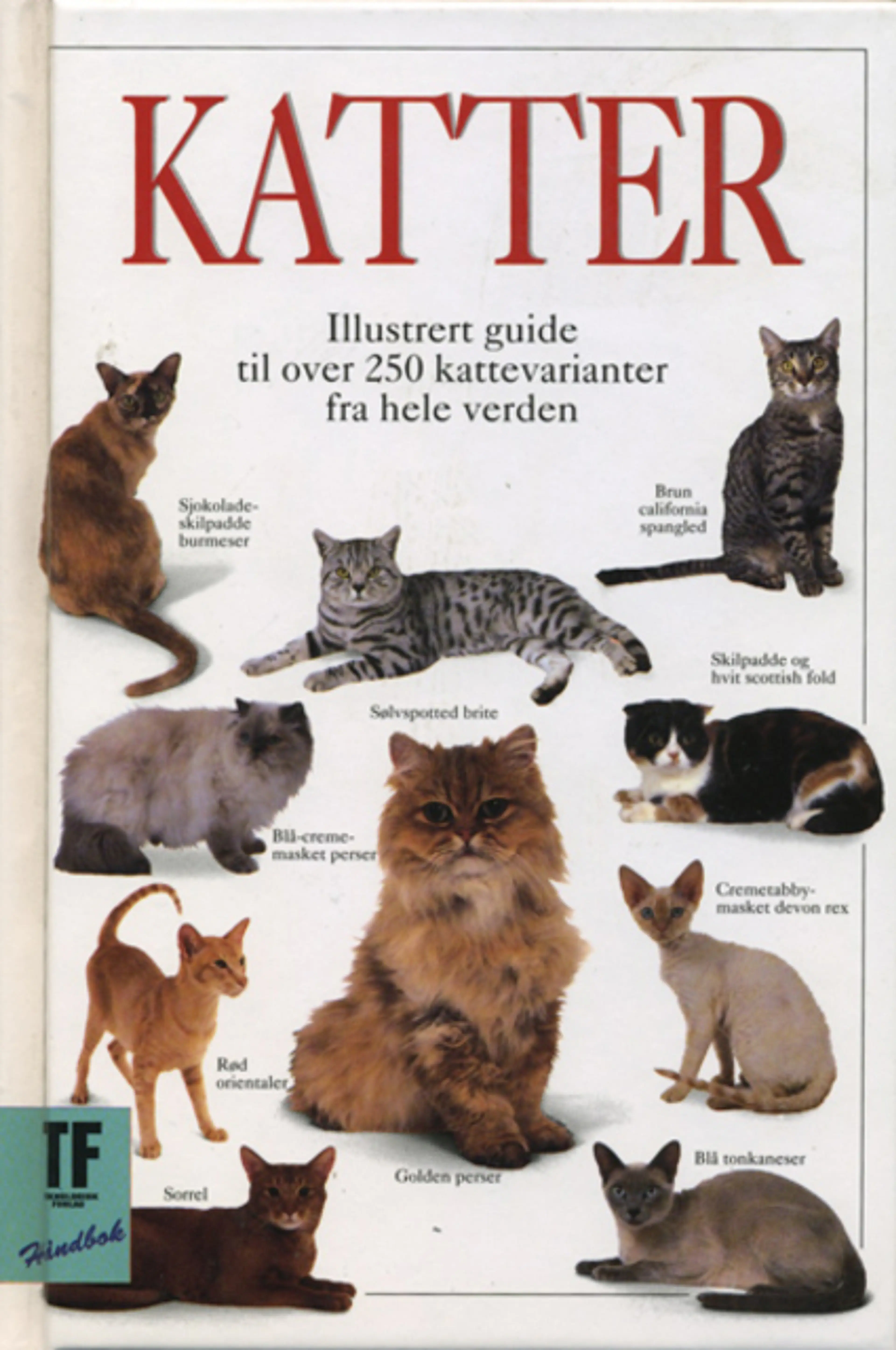 Omslag Katter av David Alderton (Innbundet)