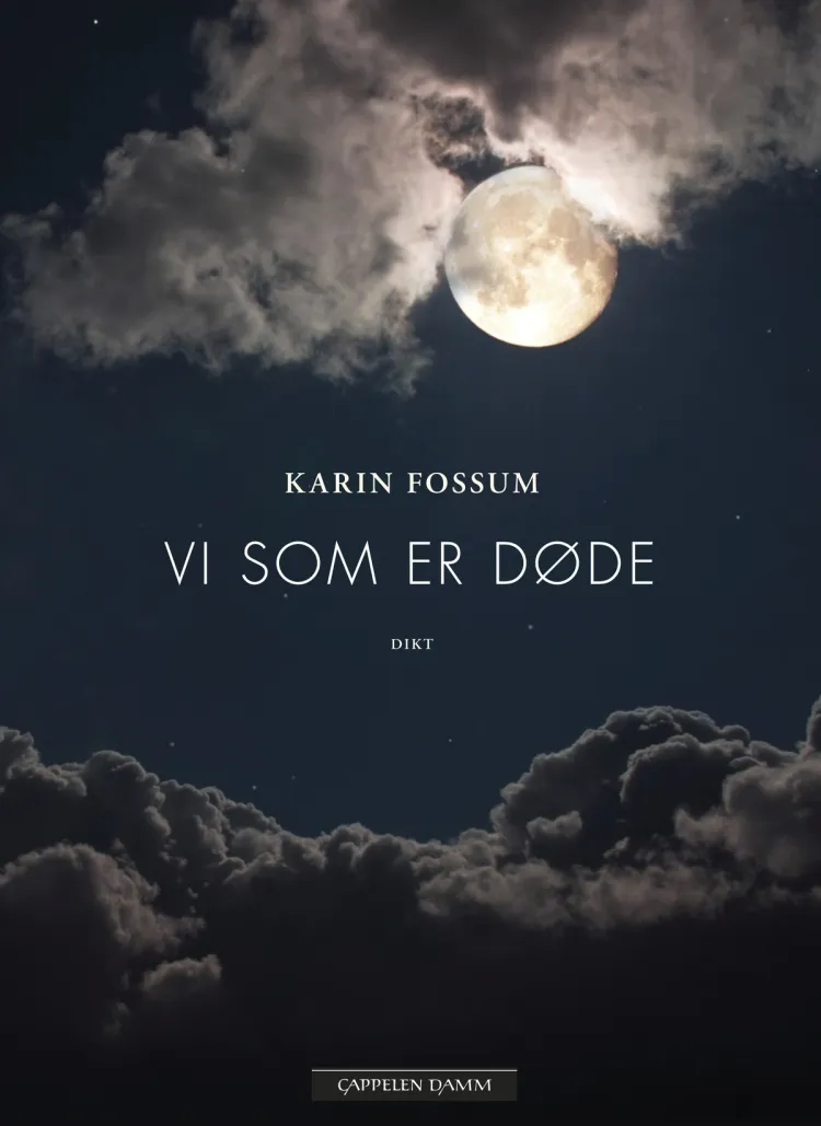 Omslag Vi som er døde av Karin Fossum (Innbundet)