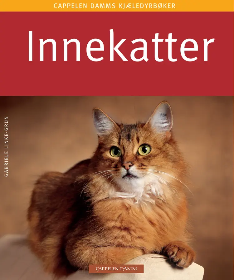 Omslag Innekatter av Gabriele Linke-Grün (Heftet)