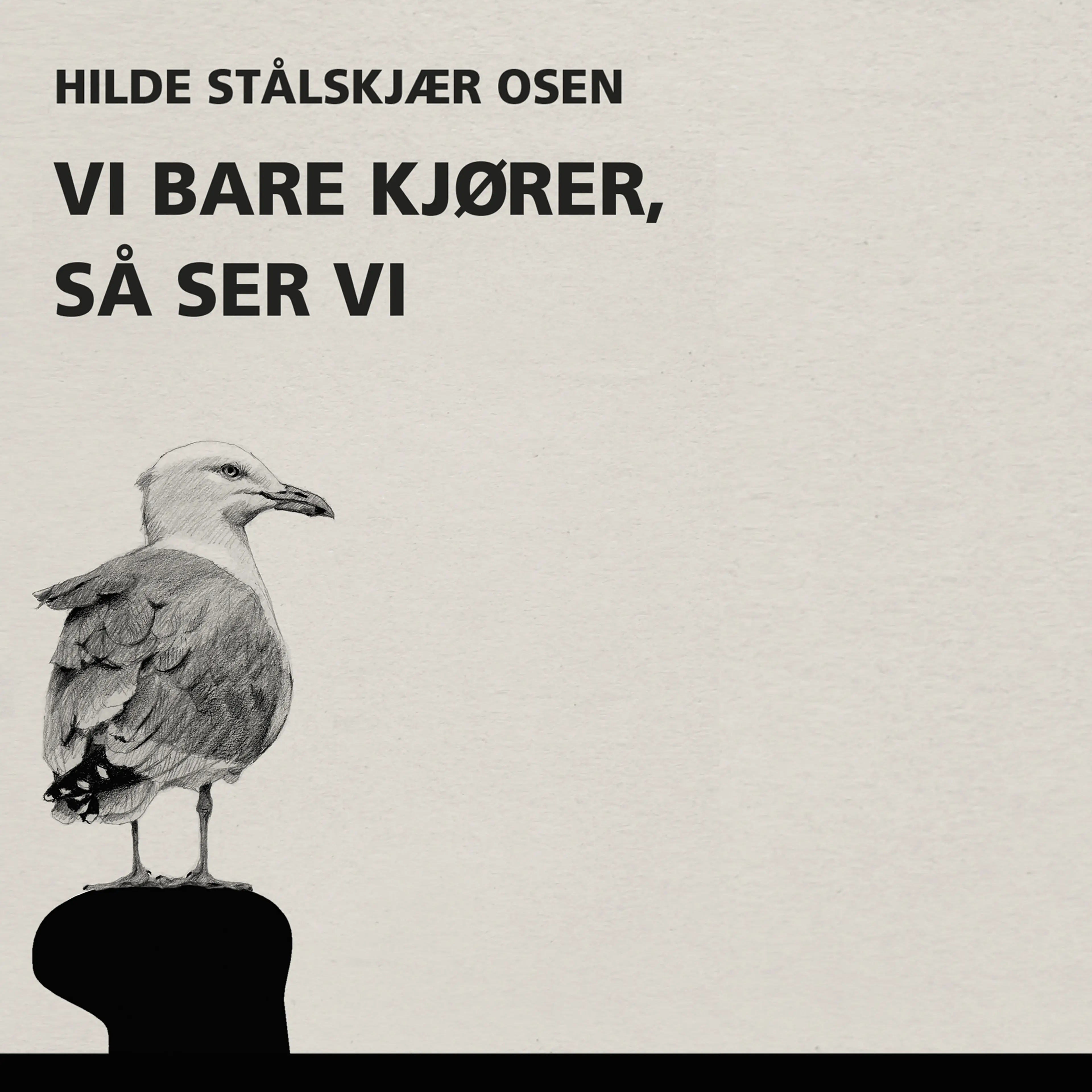 Omslag Vi bare kjører, så ser vi av Hilde Stålskjær Osen (Lydbok)