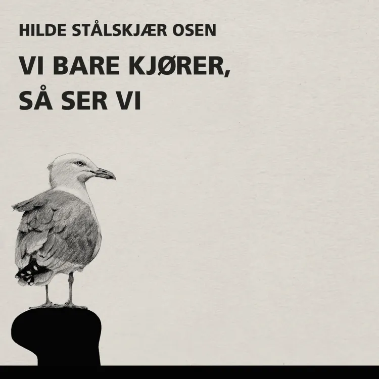 Omslag Vi bare kjører, så ser vi av Hilde Stålskjær Osen (Lydbok)