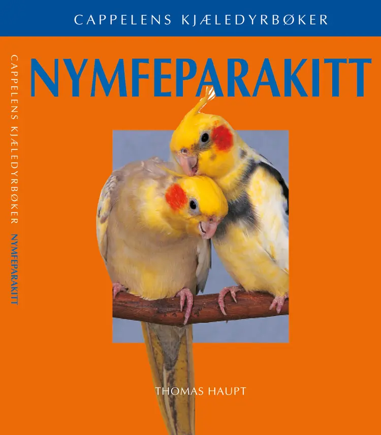 Omslag Nymfeparakitter av Thomas Haupt (Heftet)