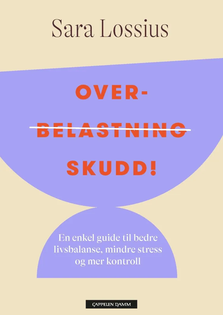 Omslag Overskudd! av Sara Lossius (Ebok)